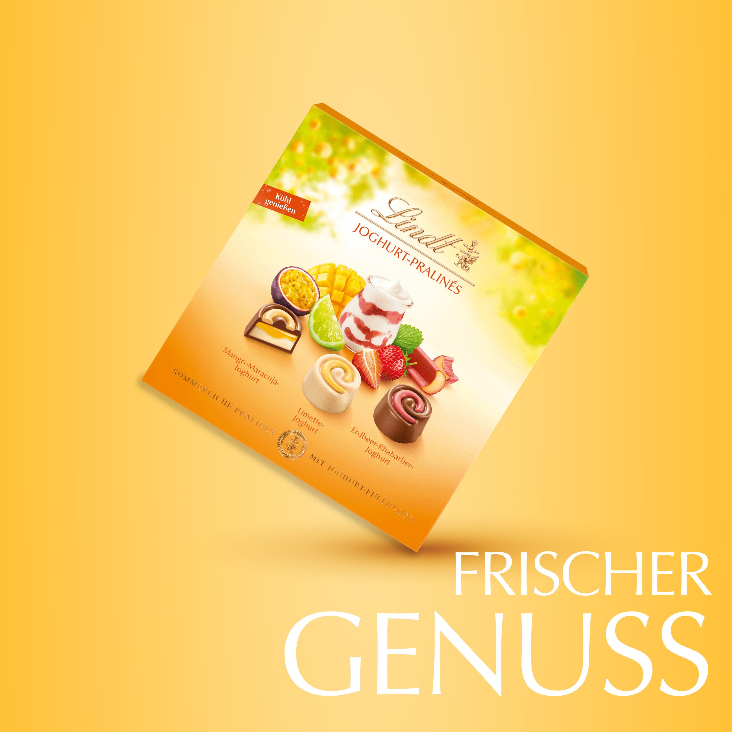 LINDT Schokolade Joghurt Pralines 150g Sommer Pralinen Schokolade Geschenk Box