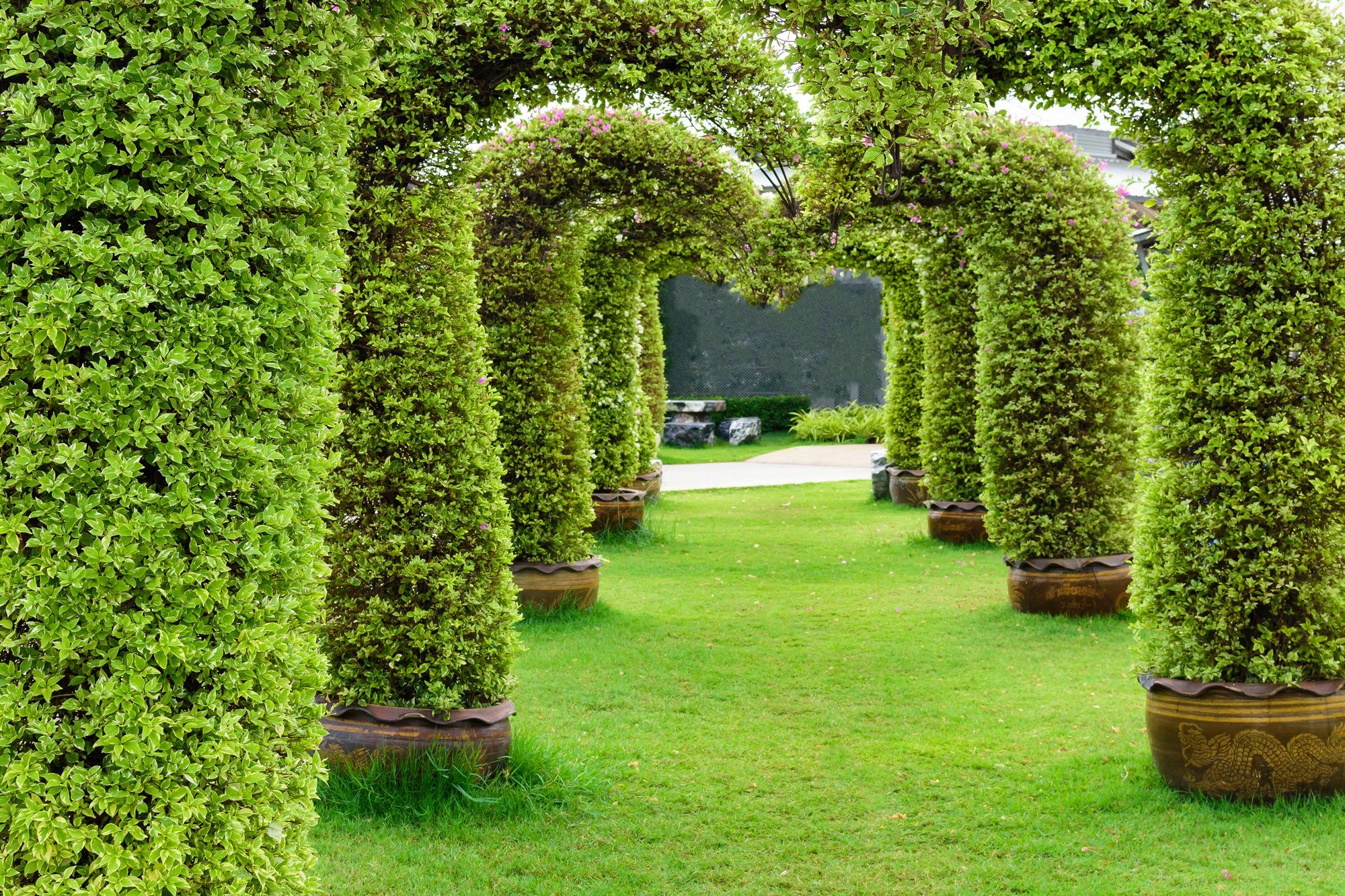 Papermoon Fototapete GARTEN-ALLEE BLUMEN BÄUME PFLANZEN STEINE WALD PERGOLA