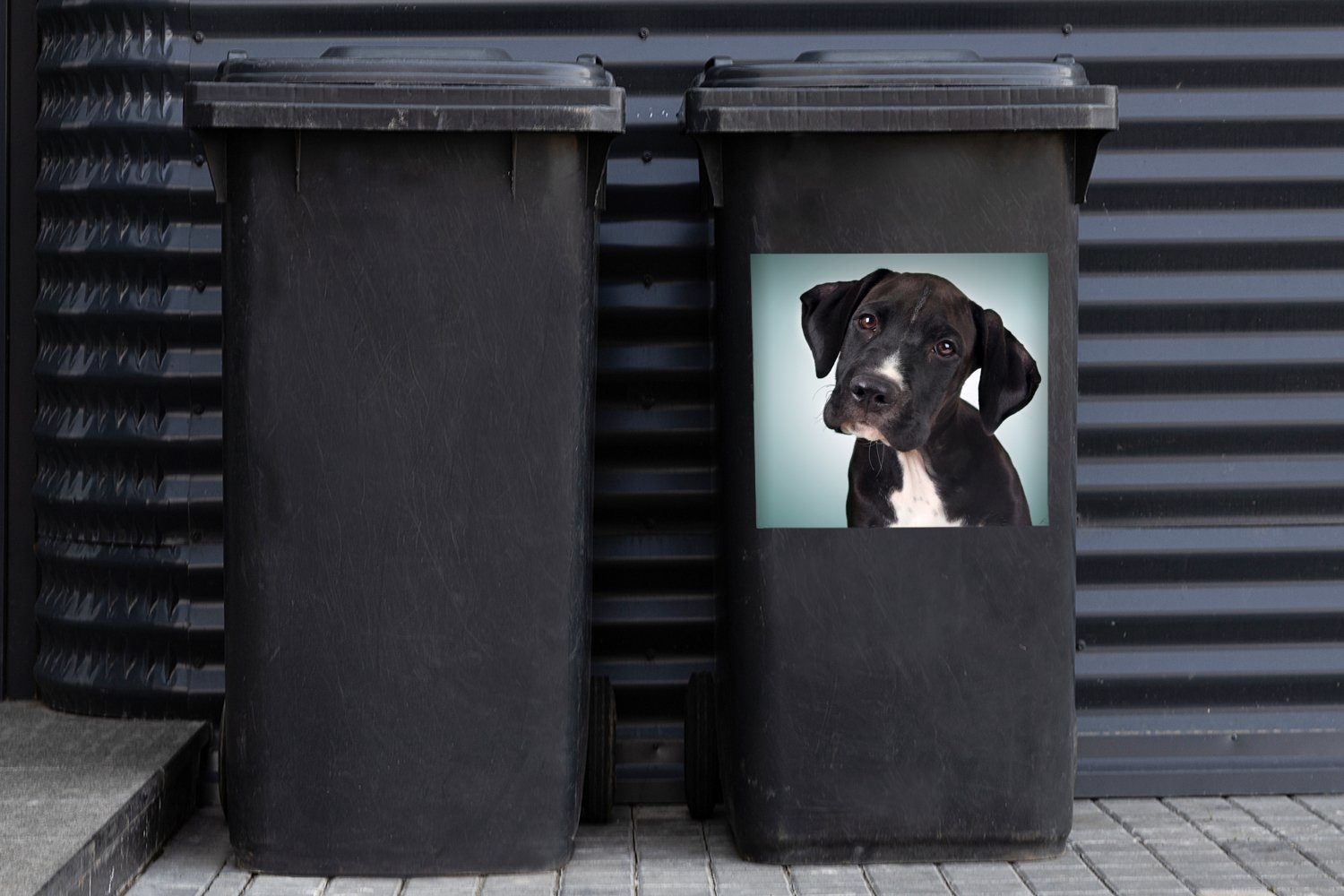 MuchoWow Wandsticker Süßer schwarzer und weißer Abfalbehälter Mülleimer-aufkleber, St), (1 Container, Hund Sticker, Mülltonne