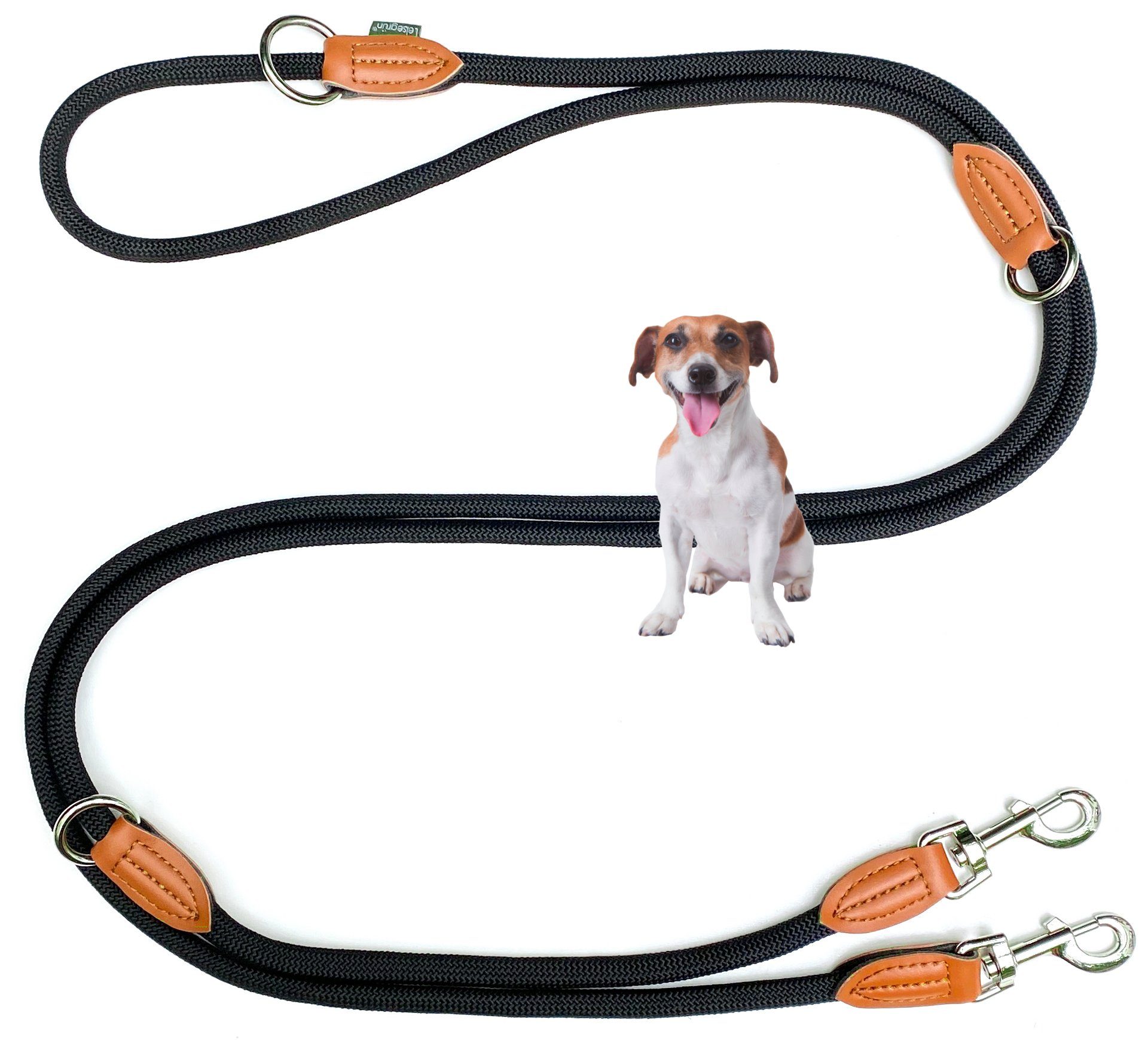 Leisegrün Hundeleine Hundeleine für kleine Hunde, 4-fach verstellbar mit 2 Karabiner, 3 m, Nylon