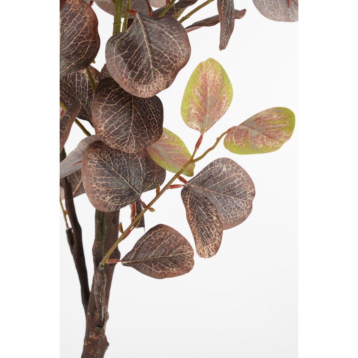 Kunstpflanze Mica Decorations Eucalyptus Baum In Topf bronze - h180xd80cm, Mica Decorations, Höhe 180 cm – Bild 3 von 4