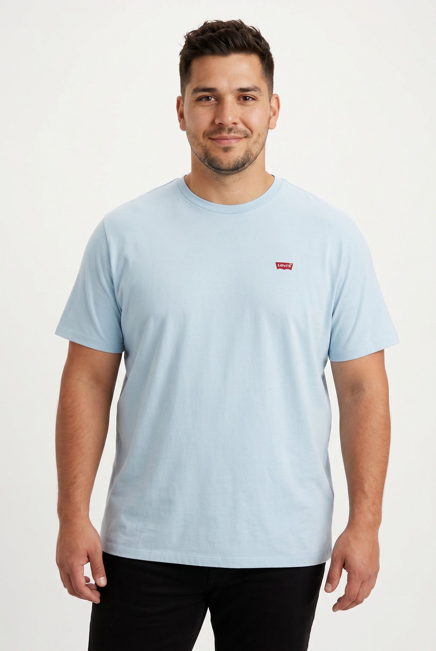 Levi's® Plus T-Shirt LE BIG ORIGINAL HM TEE mit Logo Stickerei