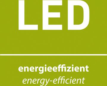 Paul Neuhaus Tischleuchte LINDA, Dimmfunktion, LED fest integriert, Warmweiß, LED, dimmbar über Schnurdimmer