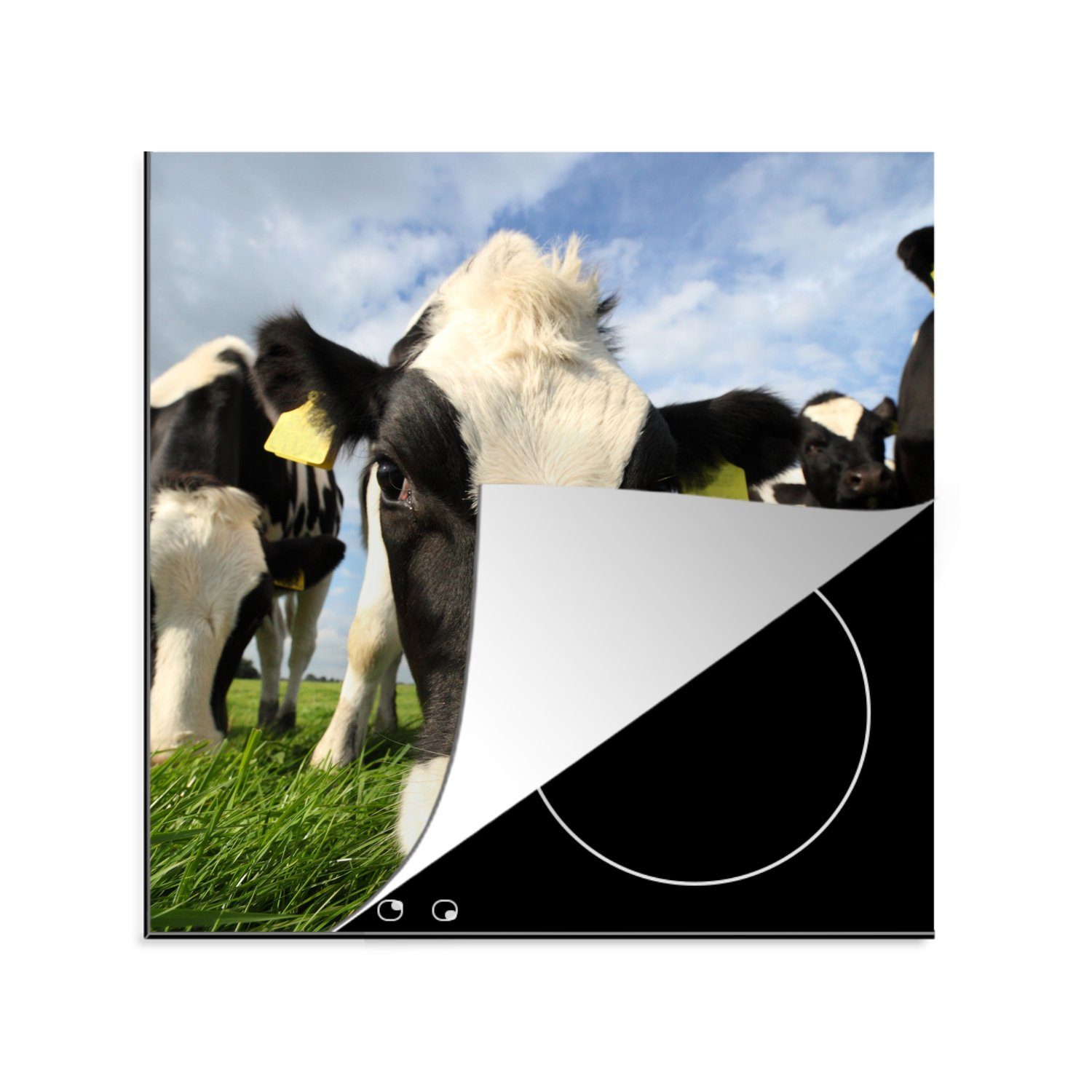 MuchoWow Herdblende-/Abdeckplatte Kuh - Gras - Nase - Luft, Vinyl, (1 tlg), 78x78 cm, Ceranfeldabdeckung, Arbeitsplatte für küche