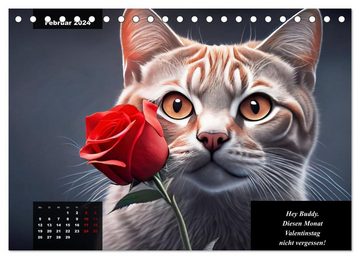CALVENDO Wandkalender Der humoristische Katzen Kalender (Tischkalender 2024 DIN A5 quer)