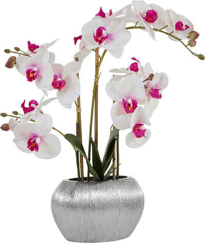 Kunstpflanze Orchidee, Home affaire, Höhe 55 cm, Kunstorchidee, im Topf