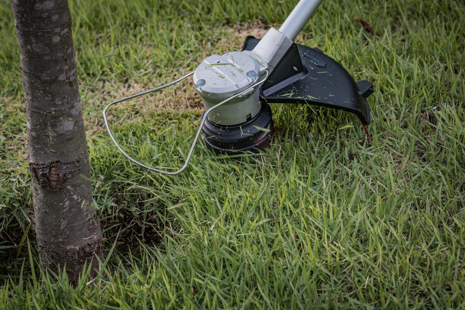 Bosch Professional Akku-Rasentrimmer »GRT 18V-33 Professional«, günstig online kaufen