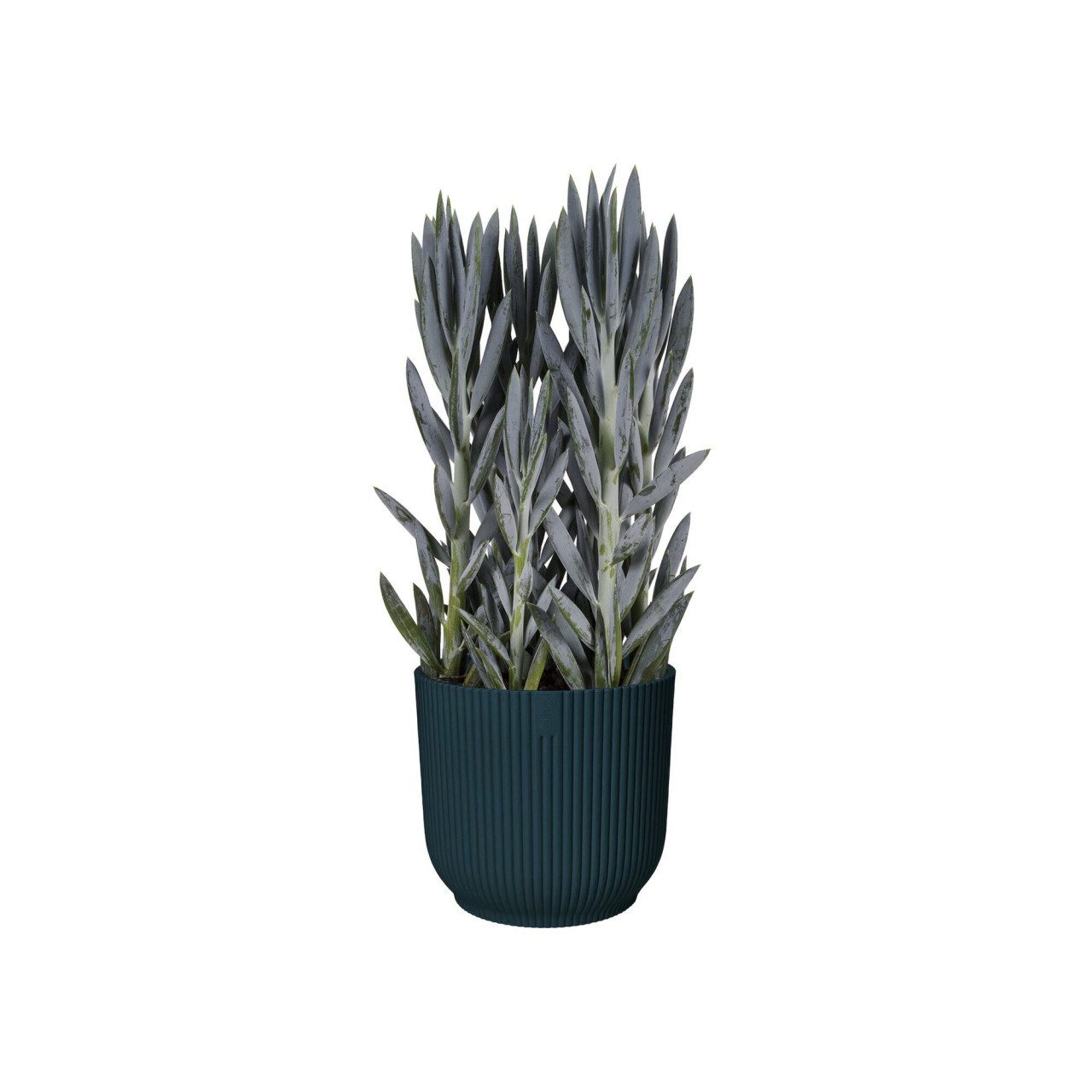 Elho Blumentopf Elho Blumentopf Vibes Fold günstig online kaufen
