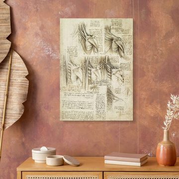Posterlounge Acrylglasbild Leonardo da Vinci, Muskeln der Wirbelsäule, Malerei