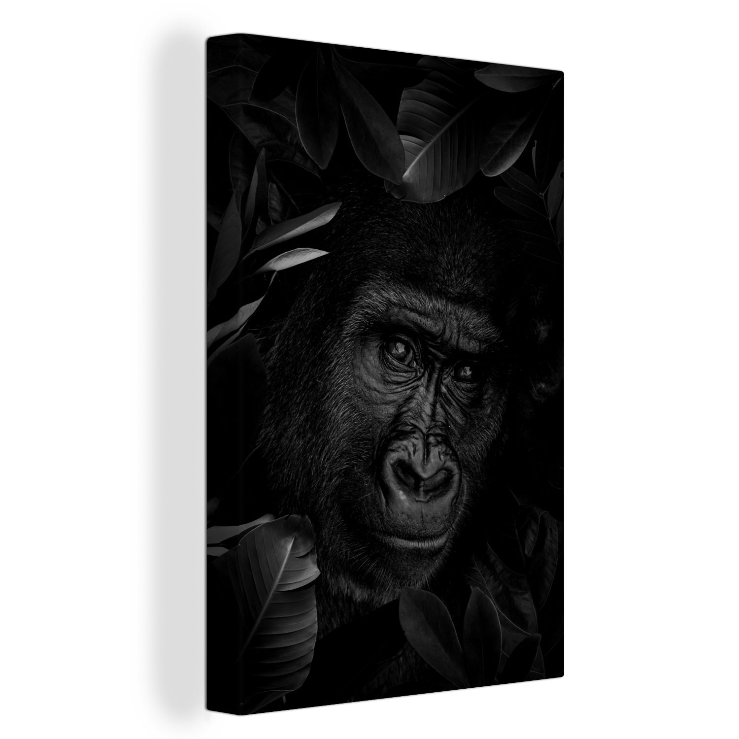 OneMillionCanvasses® Leinwandbild Botanischer Affe auf dunklem Hintergrund - schwarz und weiß, (1 St), Leinwandbild fertig bespannt inkl. Zackenaufhänger, Gemälde, 20x30 cm
