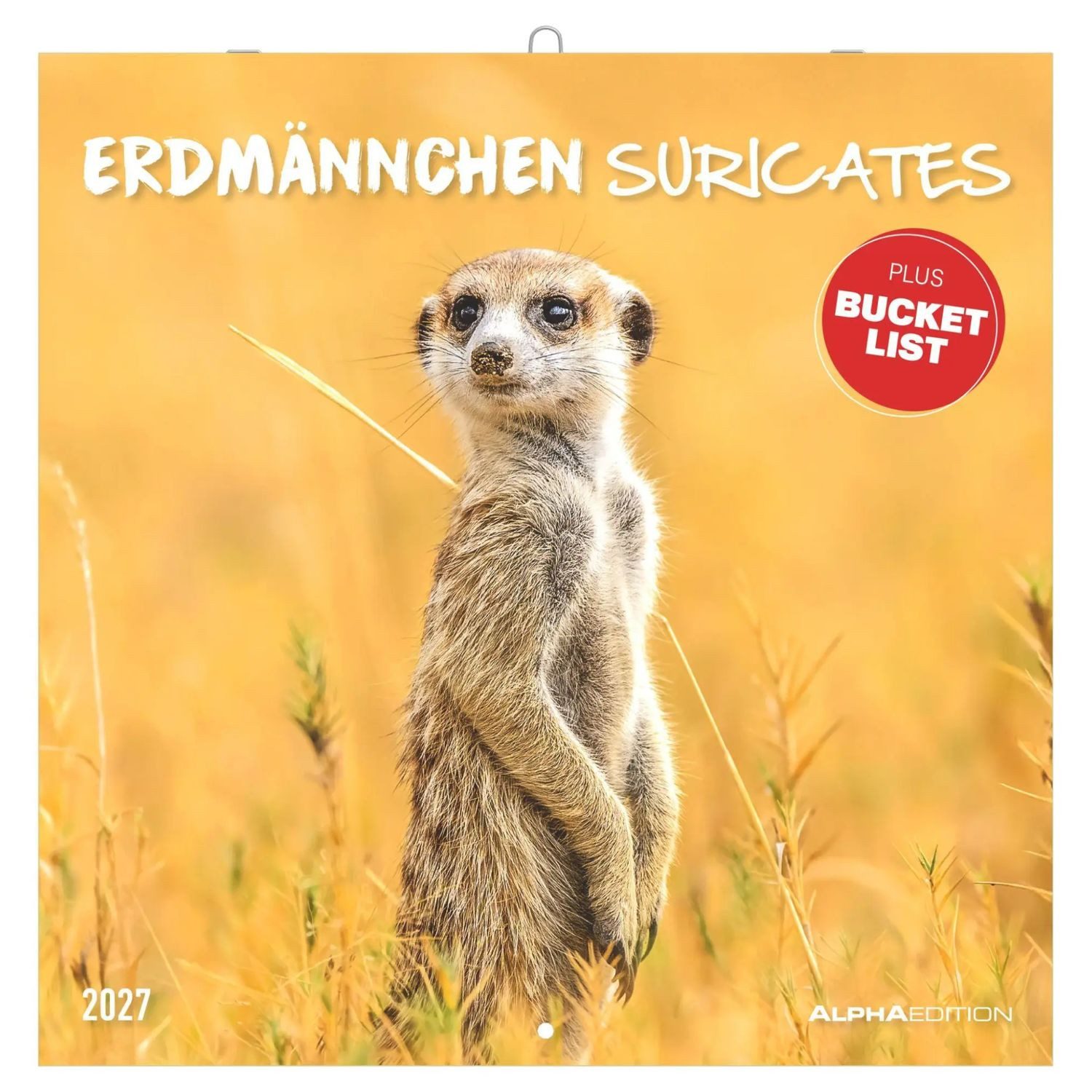 Wandkalender Erdmännchen 2027