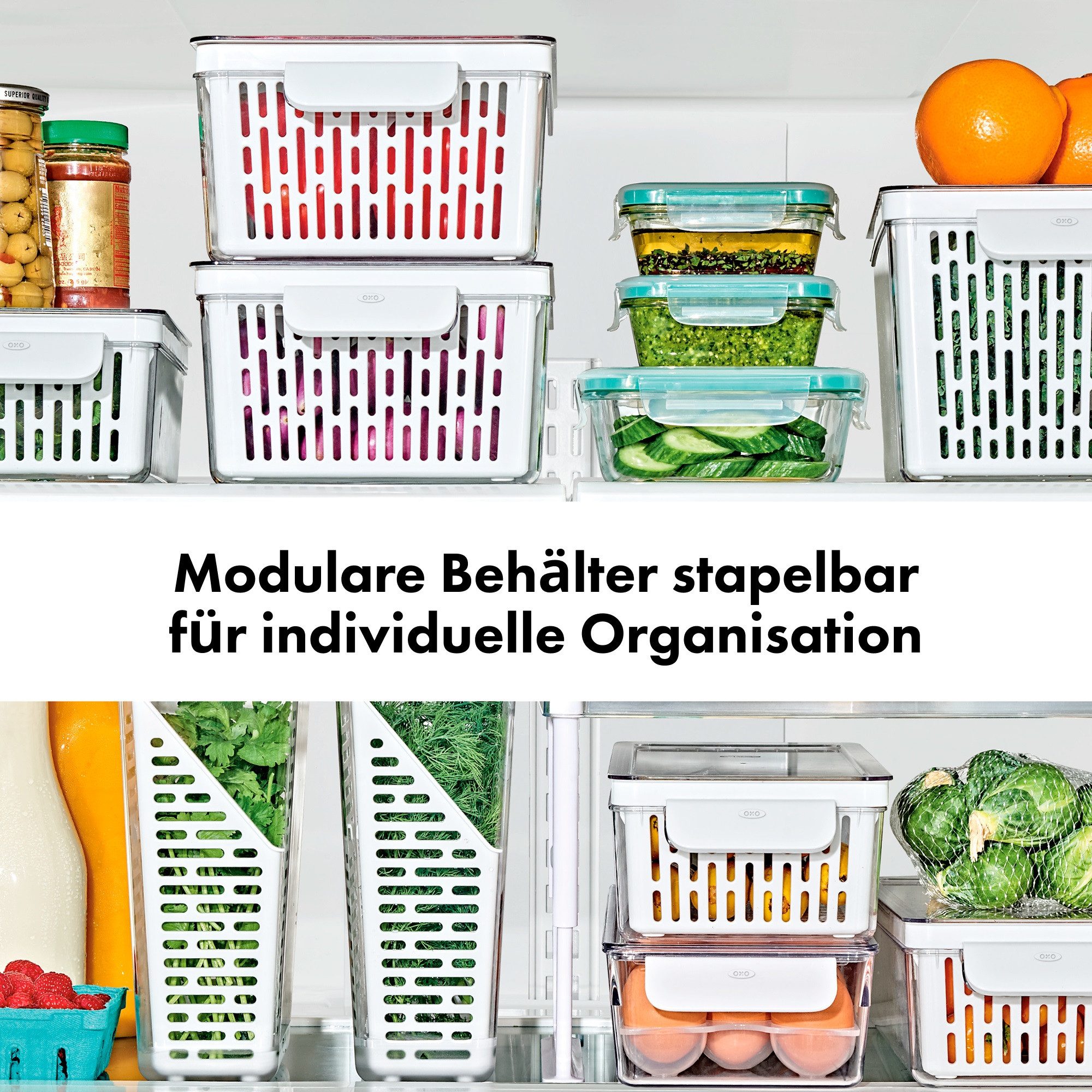 OXO Good Grips Aufbewahrungsbox OXO Frischhaltebox - Kräuteraufbewahrung (1 St)