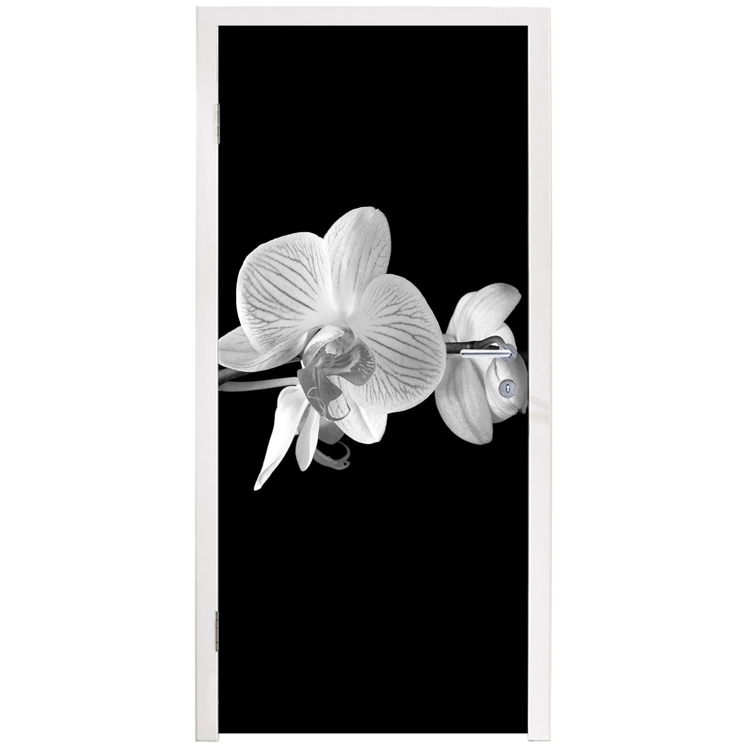 75x205 St), - Türaufkleber, MuchoWow Knöpfe, - bedruckt, Türtapete Rosa Orchidee - - für Blumen cm Tür, (1 Schwarz Matt, Fototapete