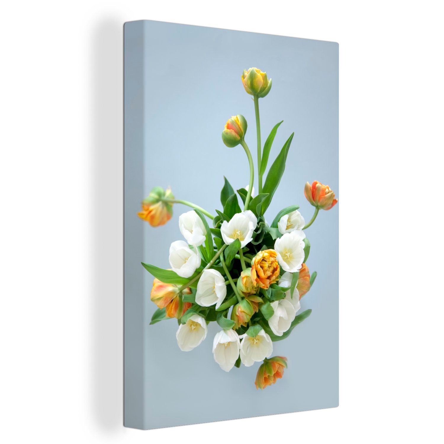 OneMillionCanvasses® Leinwandbild Weiße und orangefarbene Tulpen weißer Hintergrund, (1 St), Leinwandbild fertig bespannt inkl. Zackenaufhänger, Gemälde, 20x30 cm