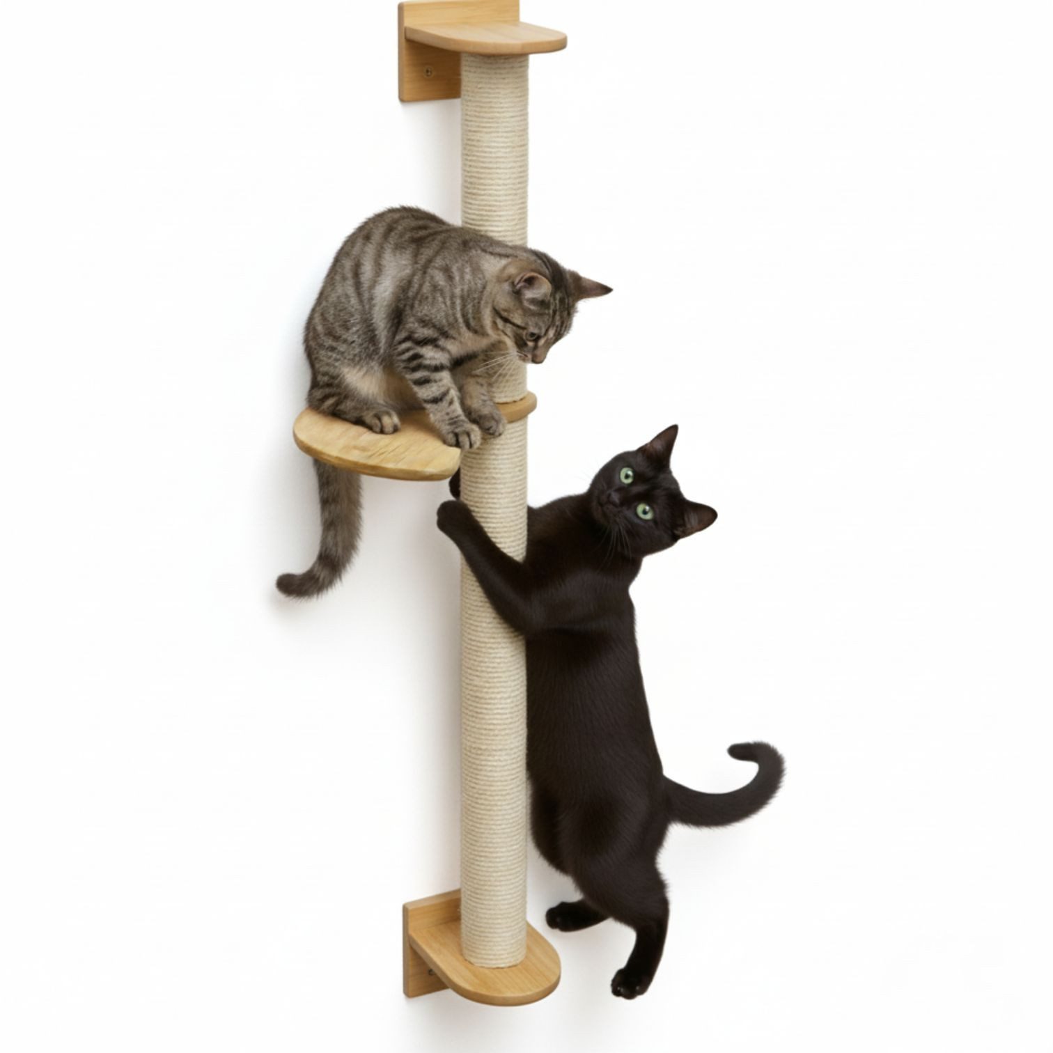 eyepower Kratzbaum zur Wandmontage - 102 cm Wandkratzbaum für Katzen mit 1 Bambus Plateau, Sistammstamm Wand - Katzenkratzbaum platzsparend - Kletterwand Katze