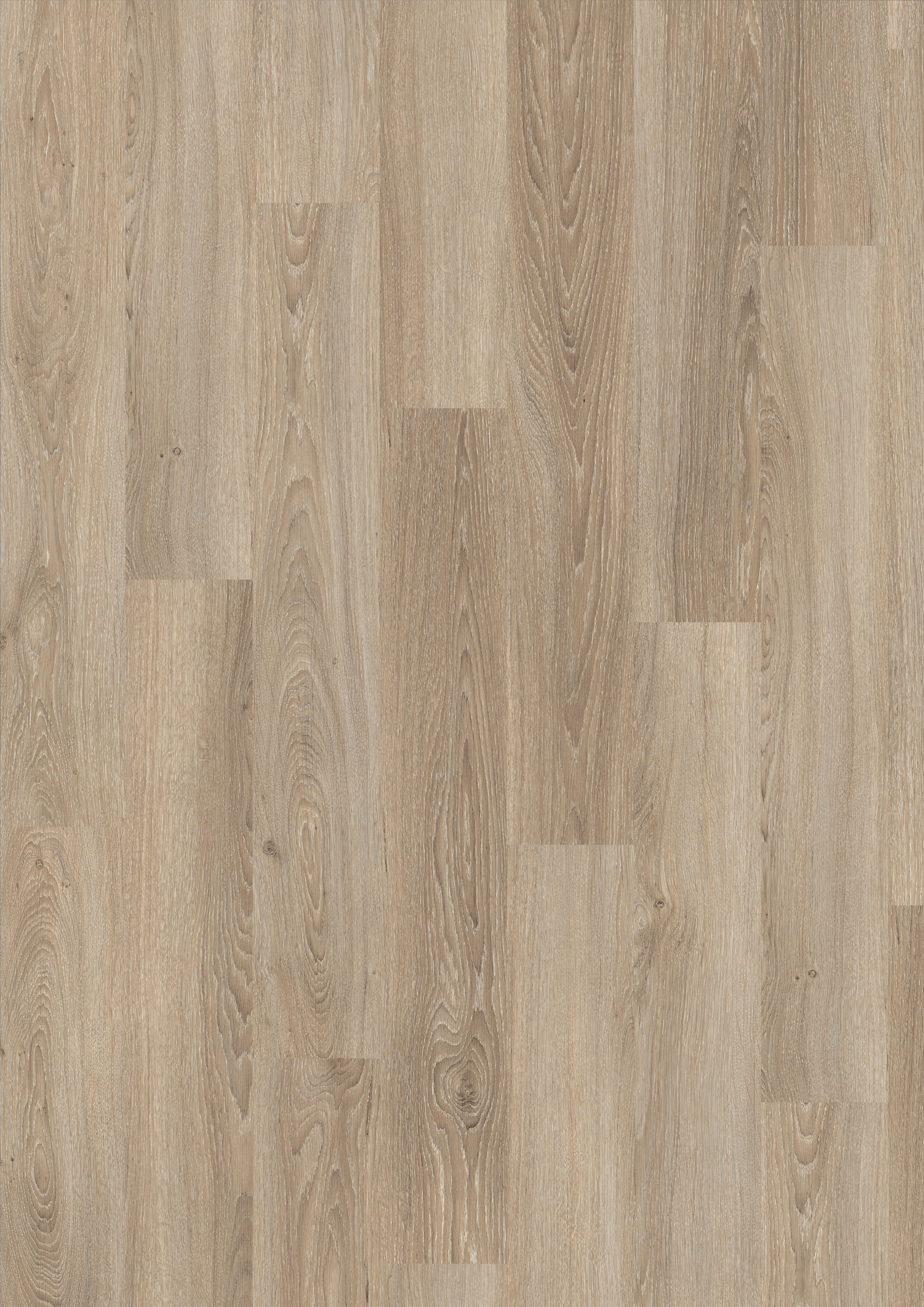 EGGER Laminat NatureSense EL2730 Eiche Amiens hell, (8mm, 1,995qm), Praktisch & Pflegeleicht