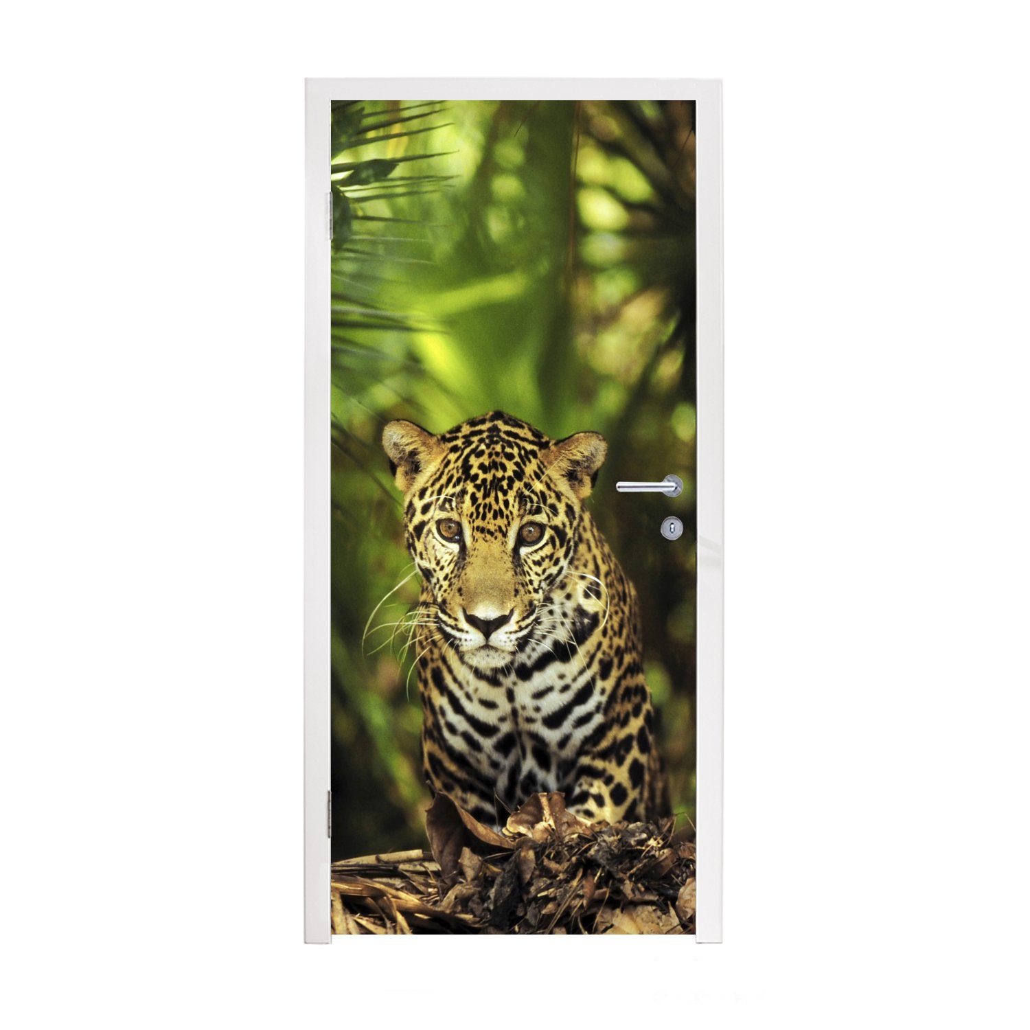 MuchoWow Türtapete Junger Jaguar im Dschungel, Matt, bedruckt, (1 St), Fototapete für Tür, Türaufkleber, 75x205 cm