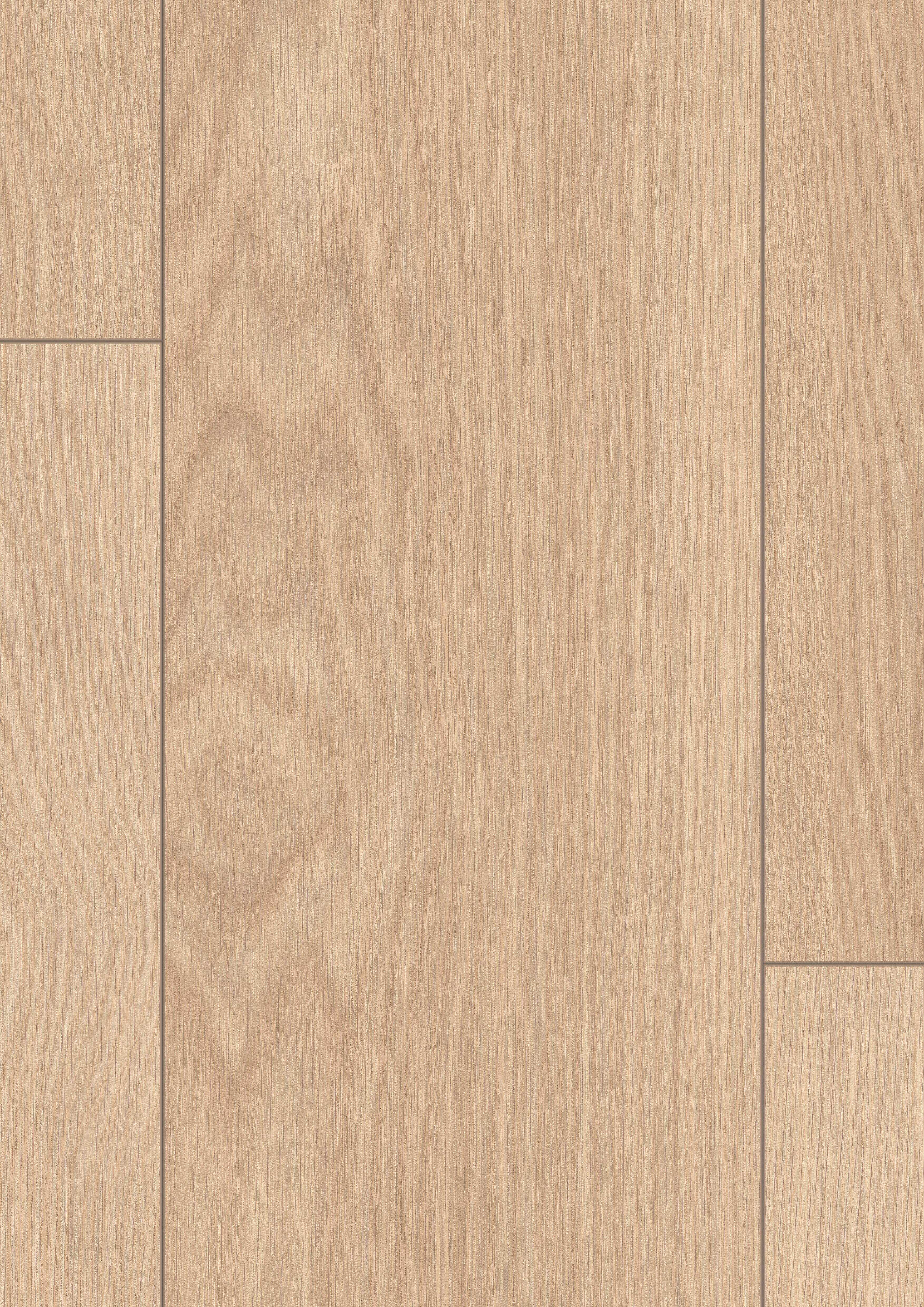 EGGER Laminat Promo NL2133 Baronia Eiche sand, (8mm, 1,995qm), Praktisch & Pflegeleicht