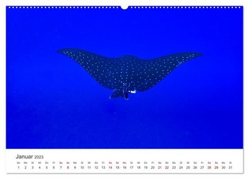 CALVENDO Wandkalender Faszination blaue Welt (Premium, hochwertiger DIN A2 Wandkalender 2023, Kunstdruck in Hochglanz)