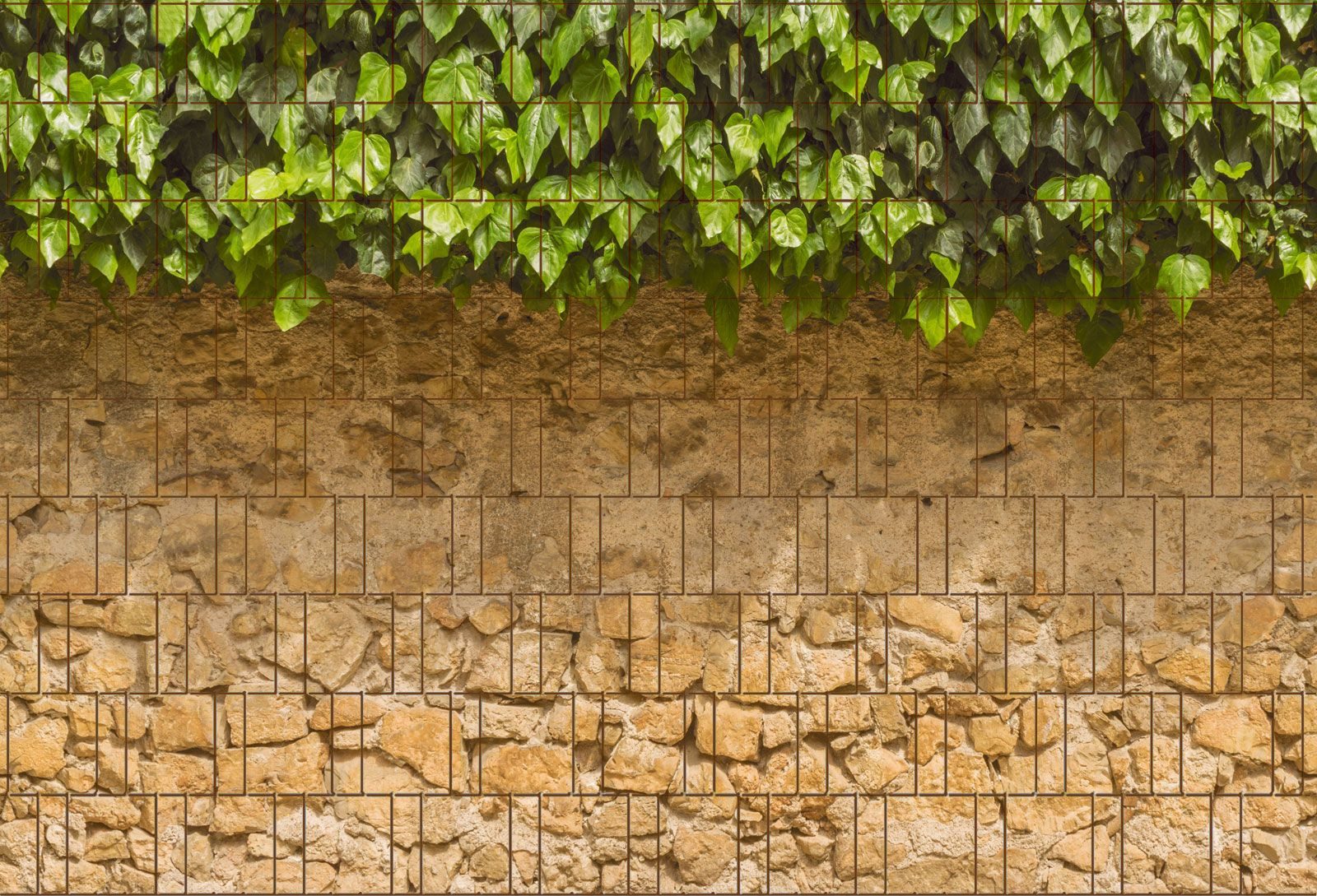 zaunzu Sichtschutzstreifen Efeu & Mauer - Bedruckter Sichtschutz 2,5m x 1,8m, (1 Rolle, Motivdruck Sichtschutzstreifen), Fotodruck für Doppelstabgitter
