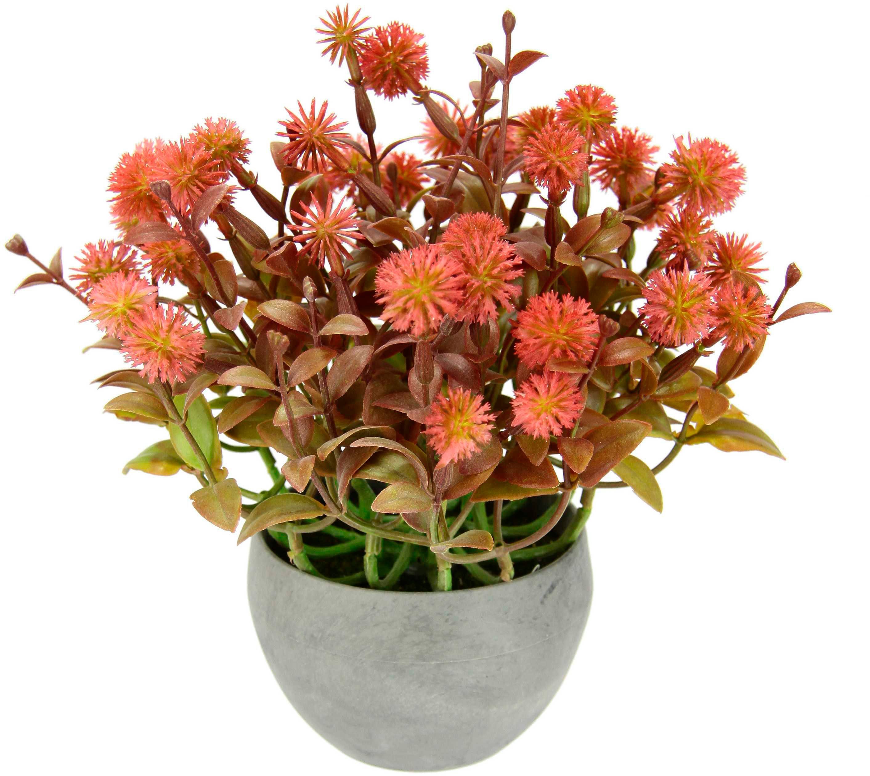 Kunstpflanze Margerite im Topf Korbblüter, I.GE.A., Höhe 23 cm