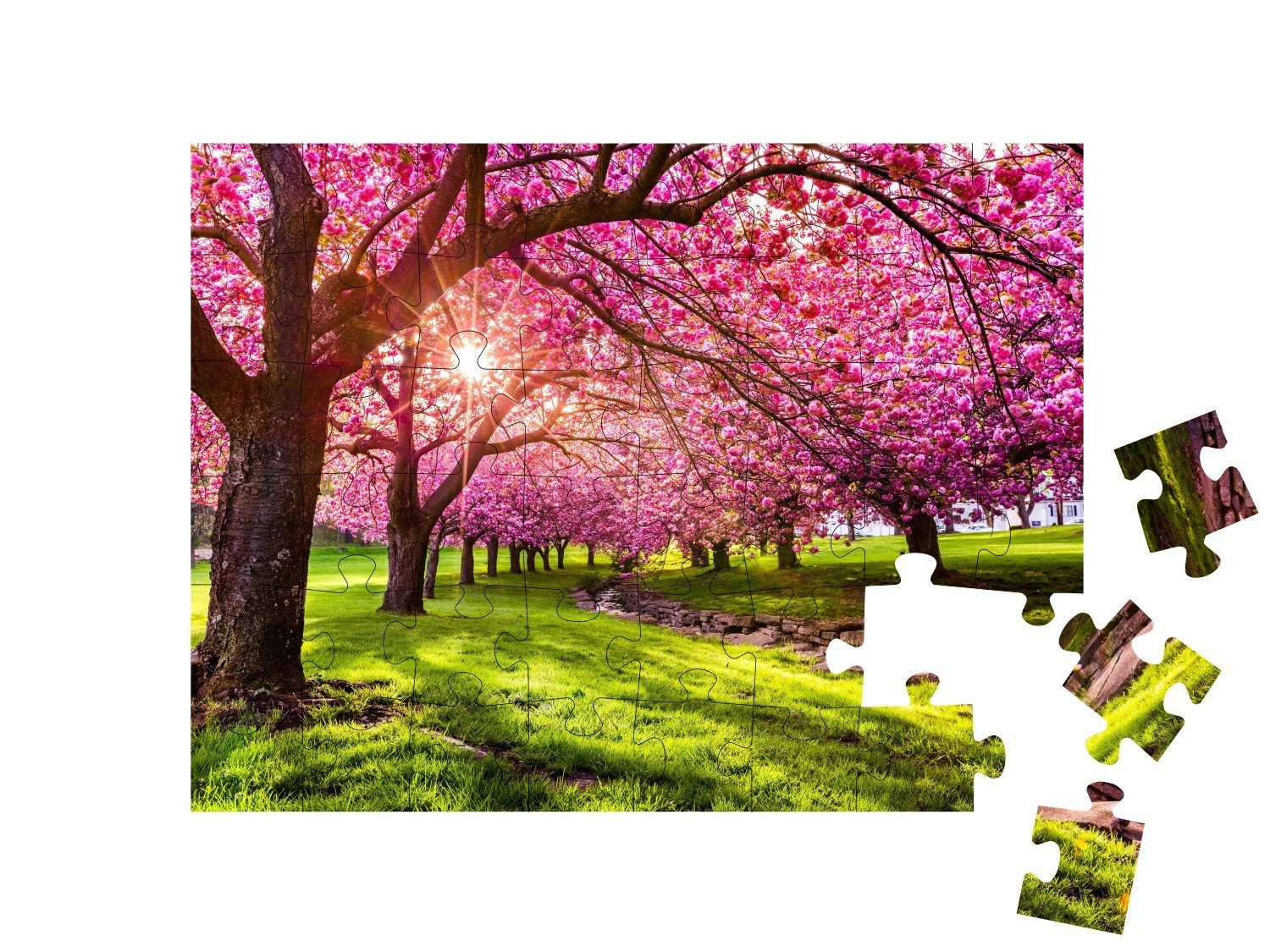 puzzleYOU Puzzle Kirschblüten, im Hurd Bäume, & Bäume New Puzzleteile, 48 Park, Wald Dover, Jersey, puzzleYOU-Kollektionen