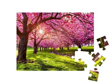 puzzleYOU Puzzle Kirschblüten, im Hurd Park, Dover, New Jersey, 48 Puzzleteile, puzzleYOU-Kollektionen Bäume, Wald & Bäume