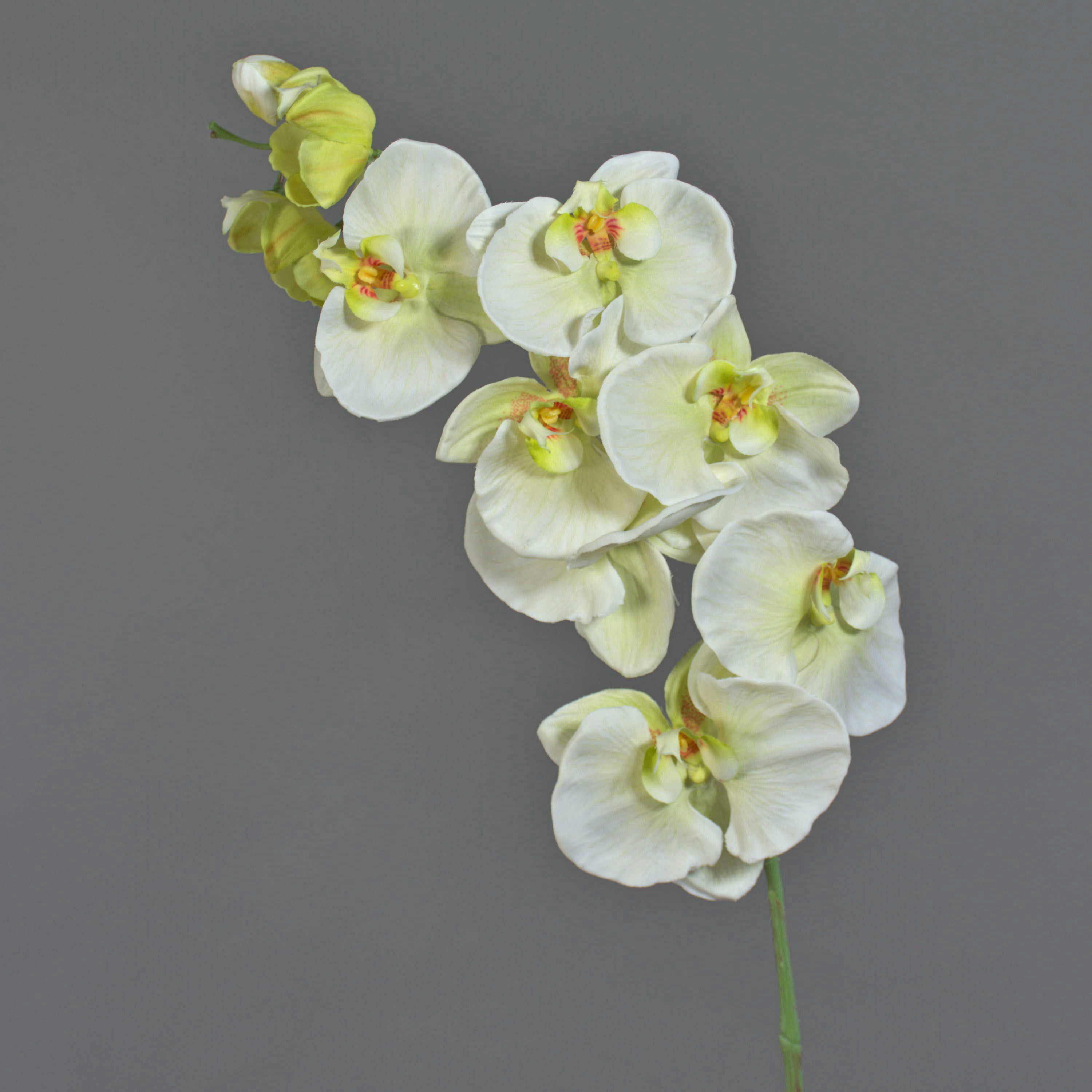 Kunstorchidee Kunststoff Phalaenopsis Orchidee WESA, weiß-grün, 100cm Orchidee (Orchidee phalaenopsis), artplants, Höhe 90.0 cm