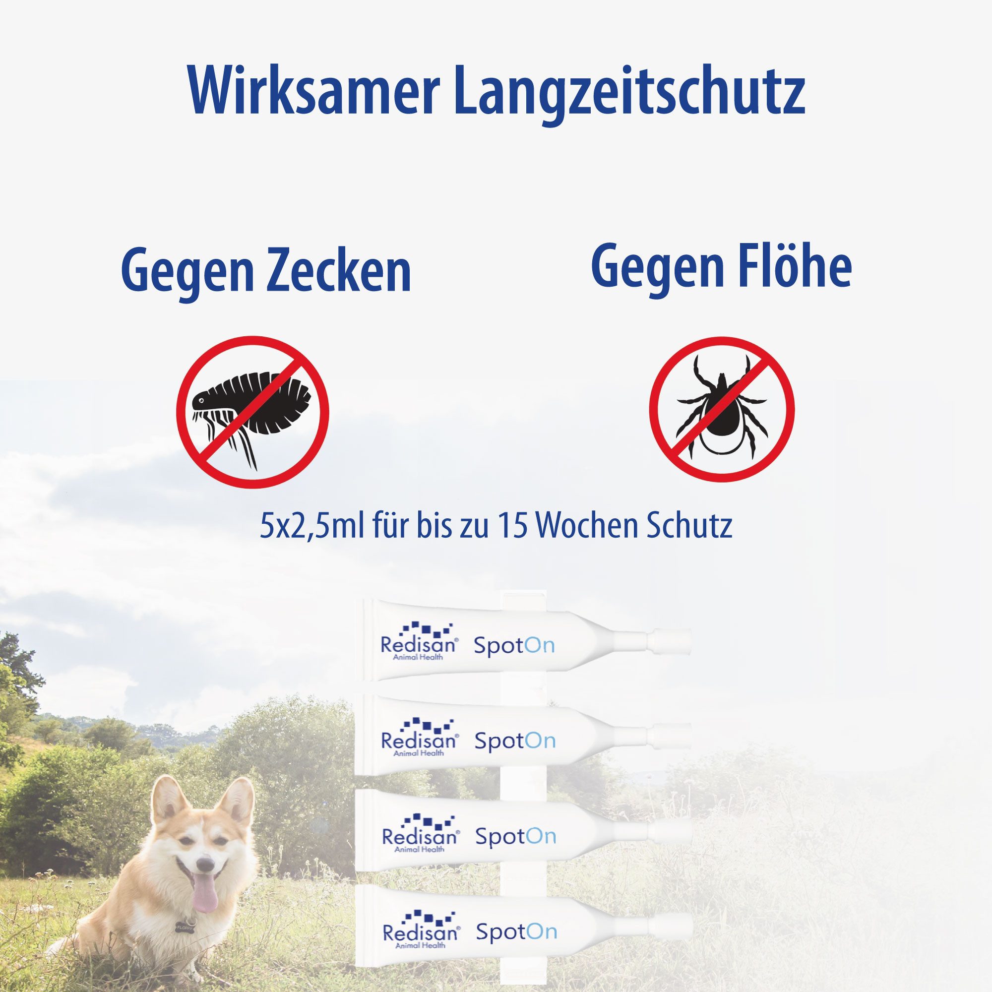 Redisan Zeckenschutzmittel Redisan® Spot on Hund günstig online kaufen