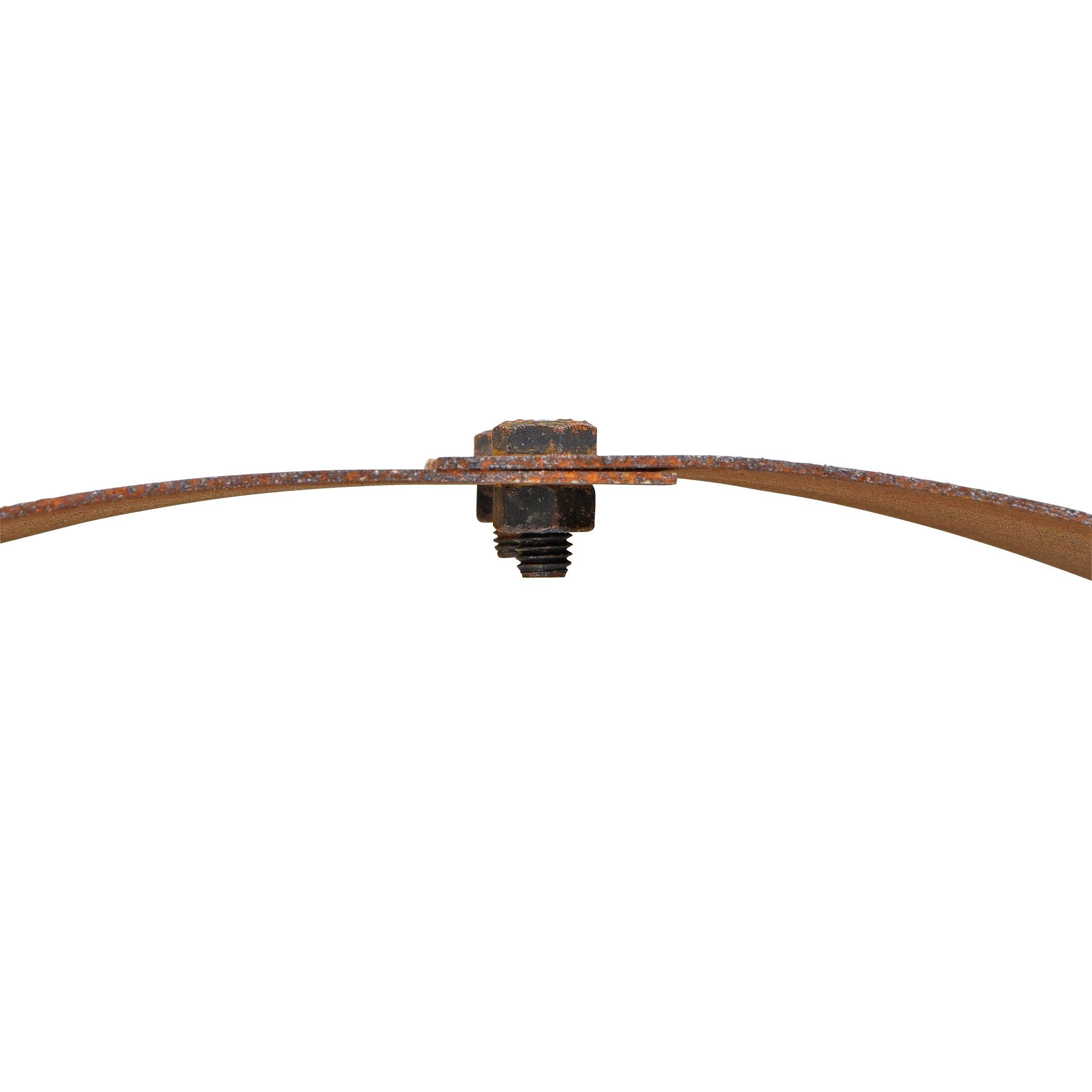 ESTEXO Beetumrandung Hochbeet Pflanzring Edelrost Ø 80 cm Rost Pflanzgefäß Pflanzkübel Co – Bild 4 von 5