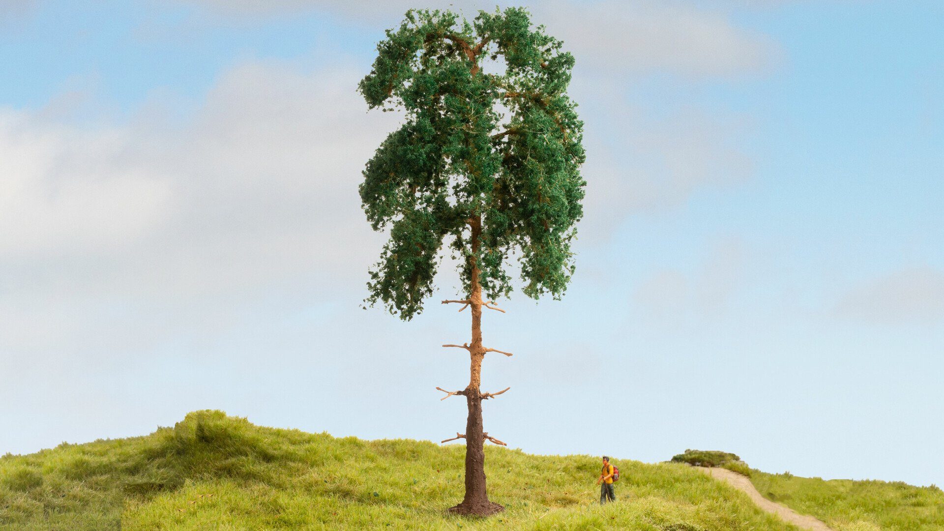 Dekobaum NOCH® Kiefer, mit langen Nadeln, 18 cm hoch für di