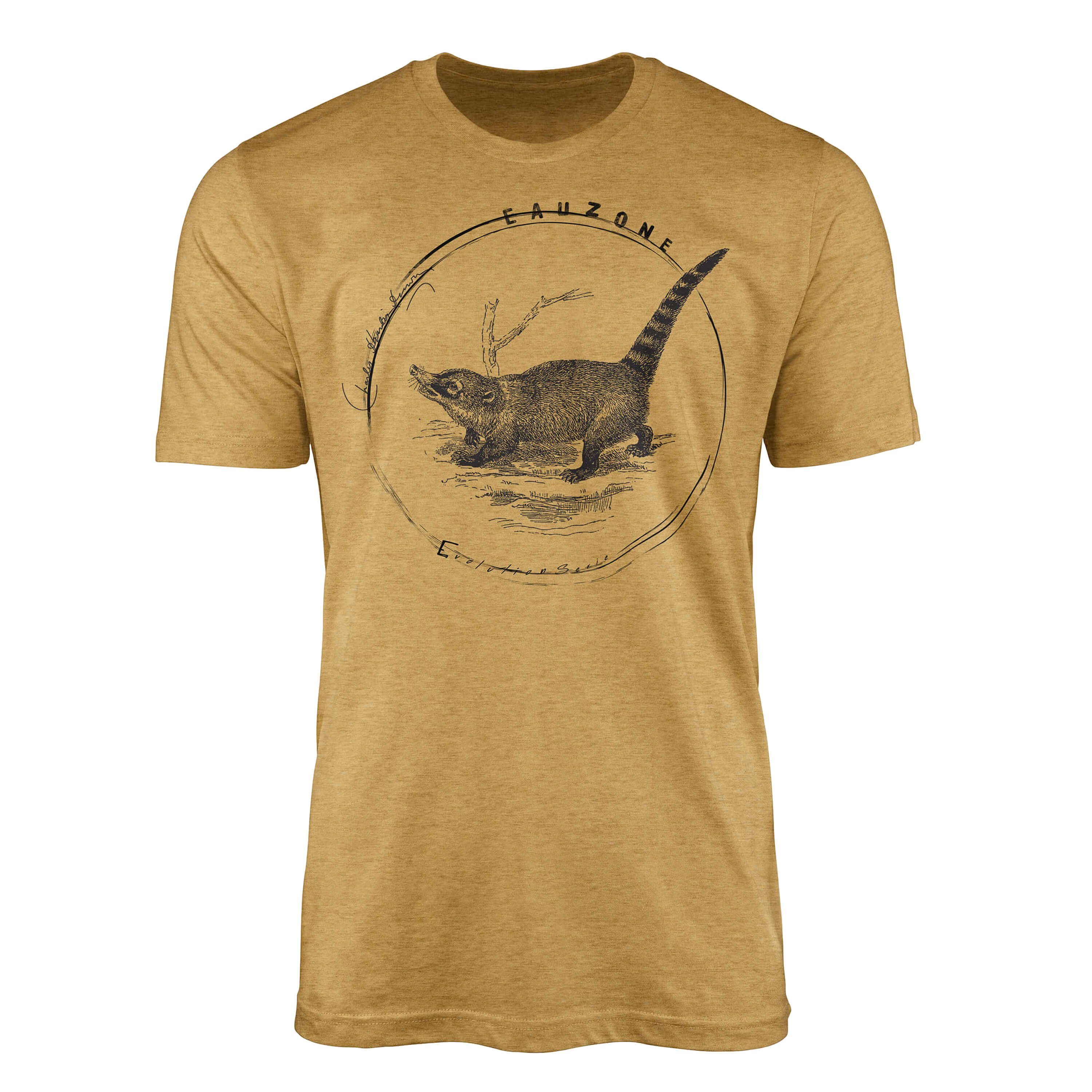 Sinus Art T-Shirt Evolution Herren T-Shirt Nasenbär Antique Gold