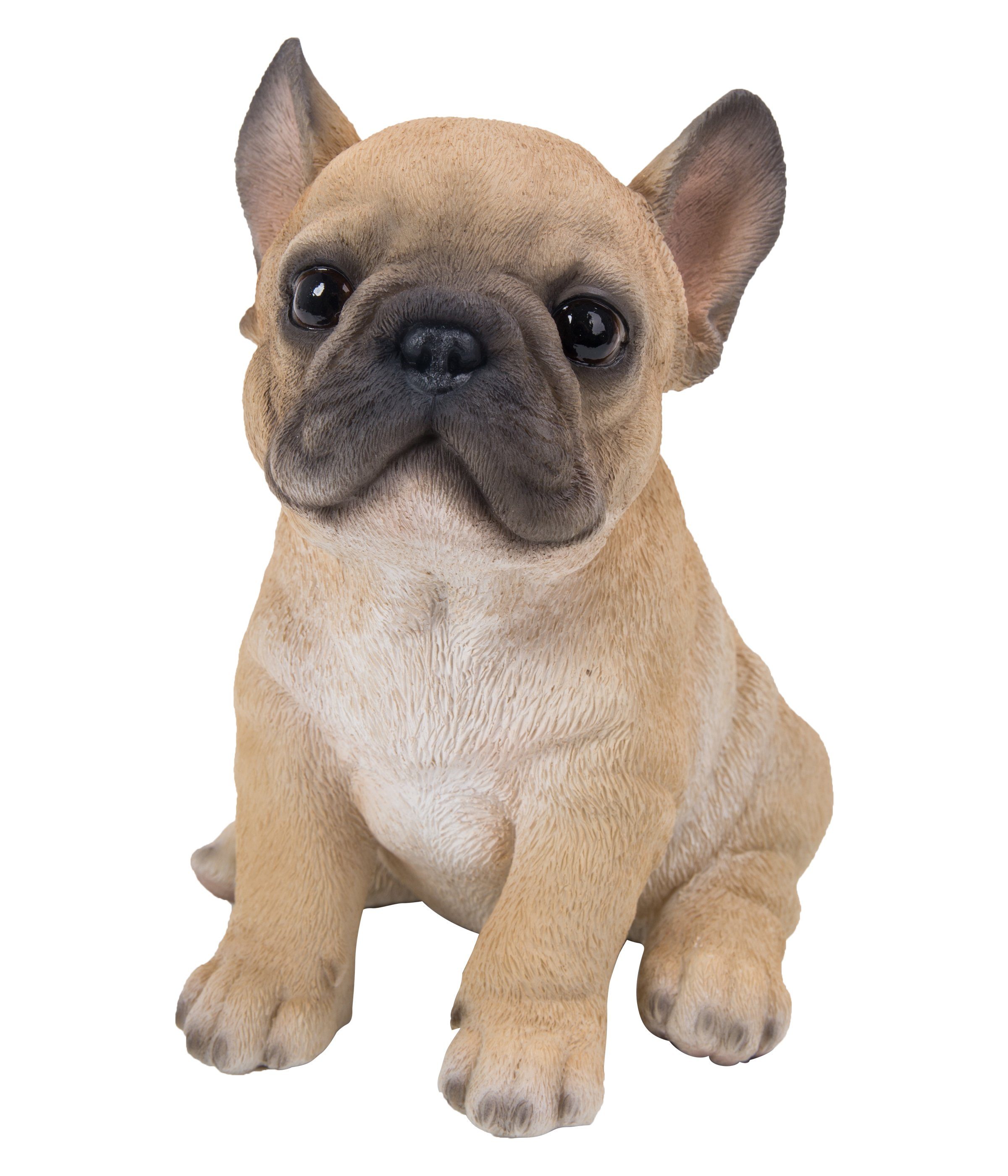 Dehner Gartenfigur Französische Buldogge Welpe, 18 günstig online kaufen