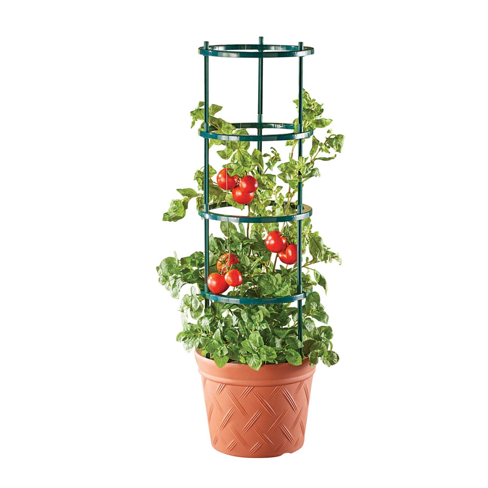 HTI-Living Pflanzkübel Pflanztopf Nessa Terracotta mit Rankhilfe (Stück, 1 St., 1 Pflanzkübel mit Rankgitter), für Kletter- und Tomatenpflanzen