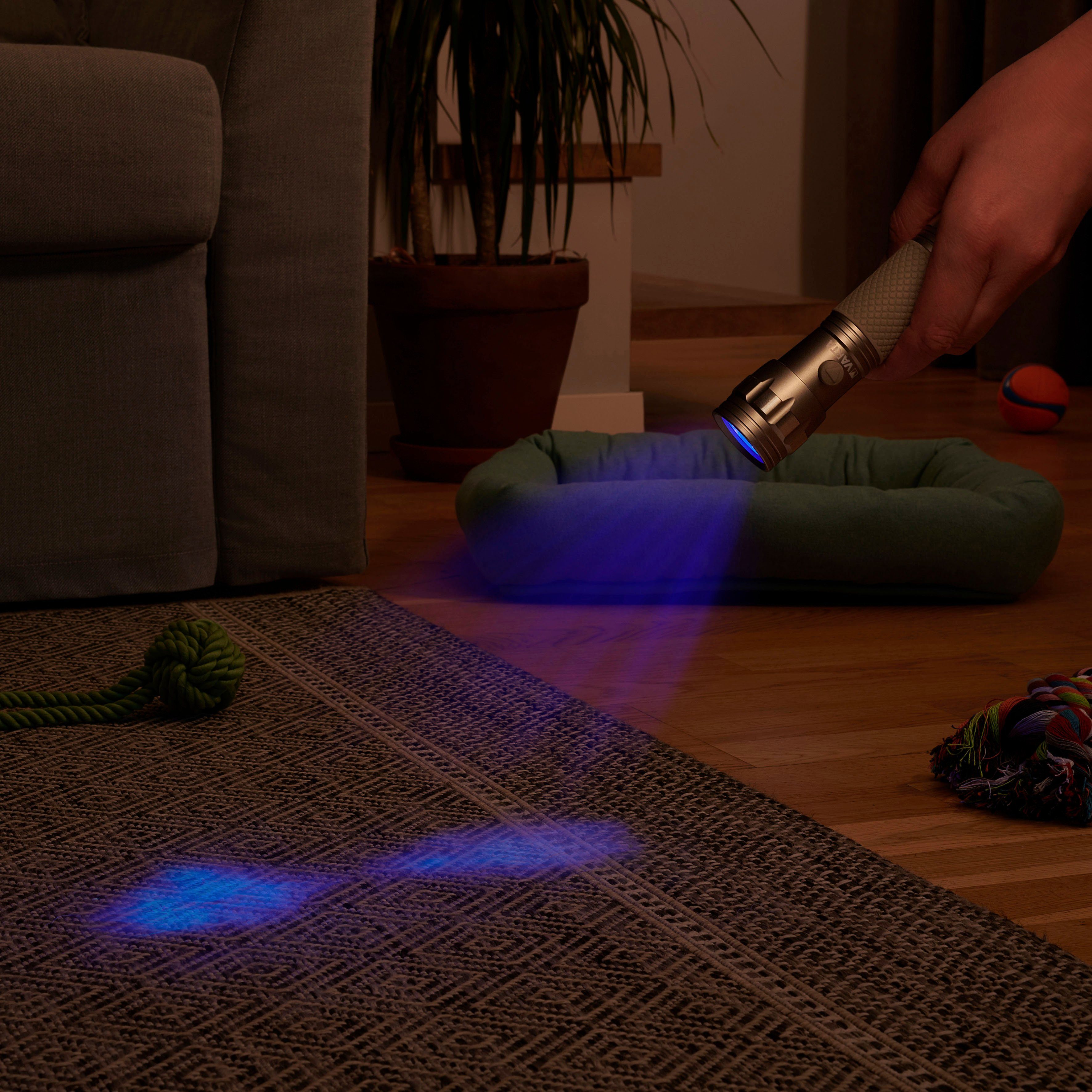 VARTA Taschenlampe UV Licht Hygienehilfe Leuchte (Set), macht Unsichtbares sichtbar mit Schwarzlicht