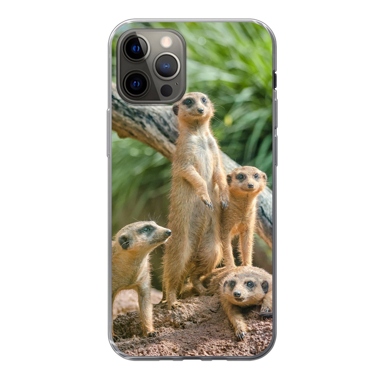 MuchoWow Handyhülle für Apple iPhone 12 Pro Erdmännchen - Familie - Tiere, Smartphone-Bumper, Print, Handy Schutzhülle Dünn