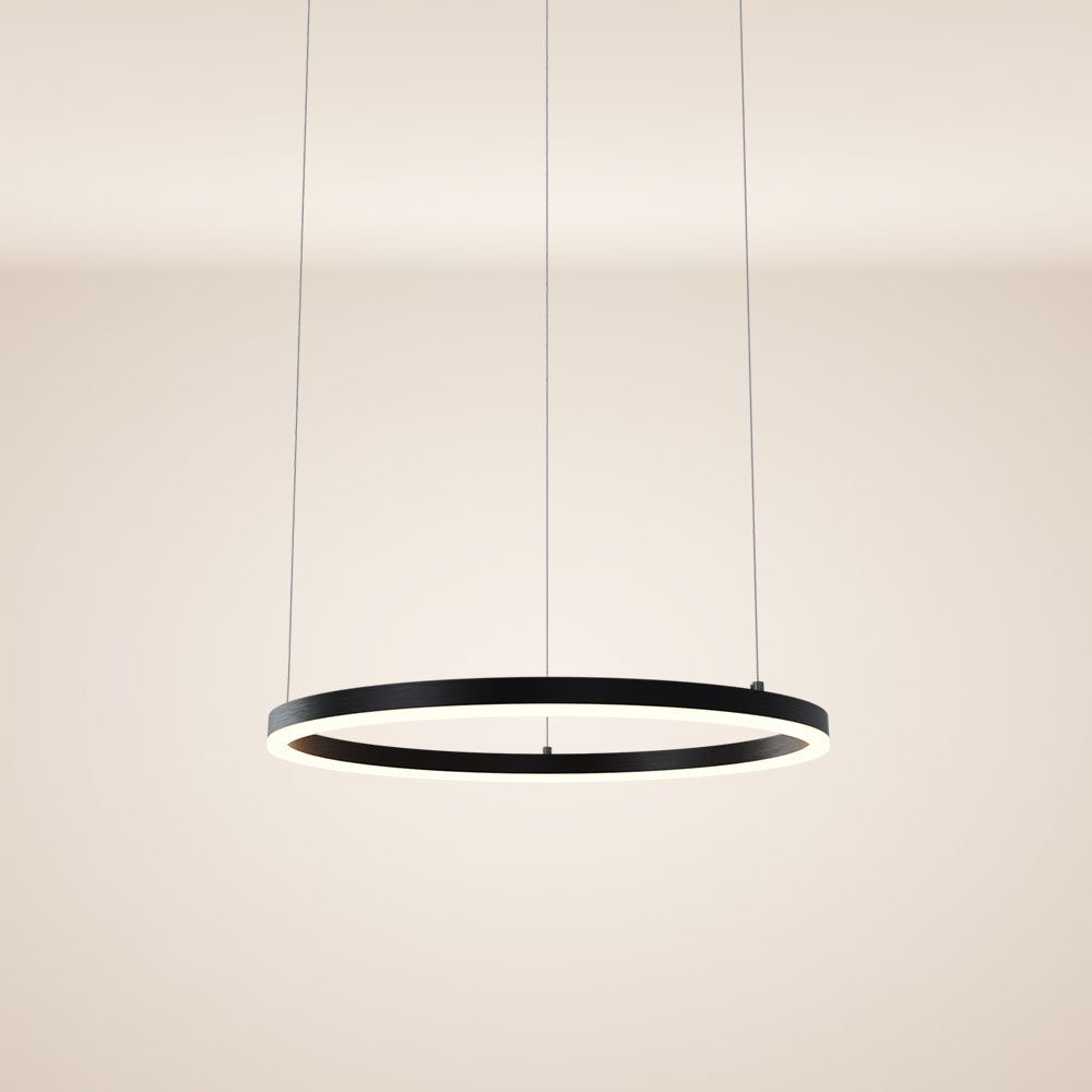 s.luce 60 direkt oder indirekt LED Pendelleuchte Pendelleuchte Abhängung 5m Schwarz, Warmweiß Ring