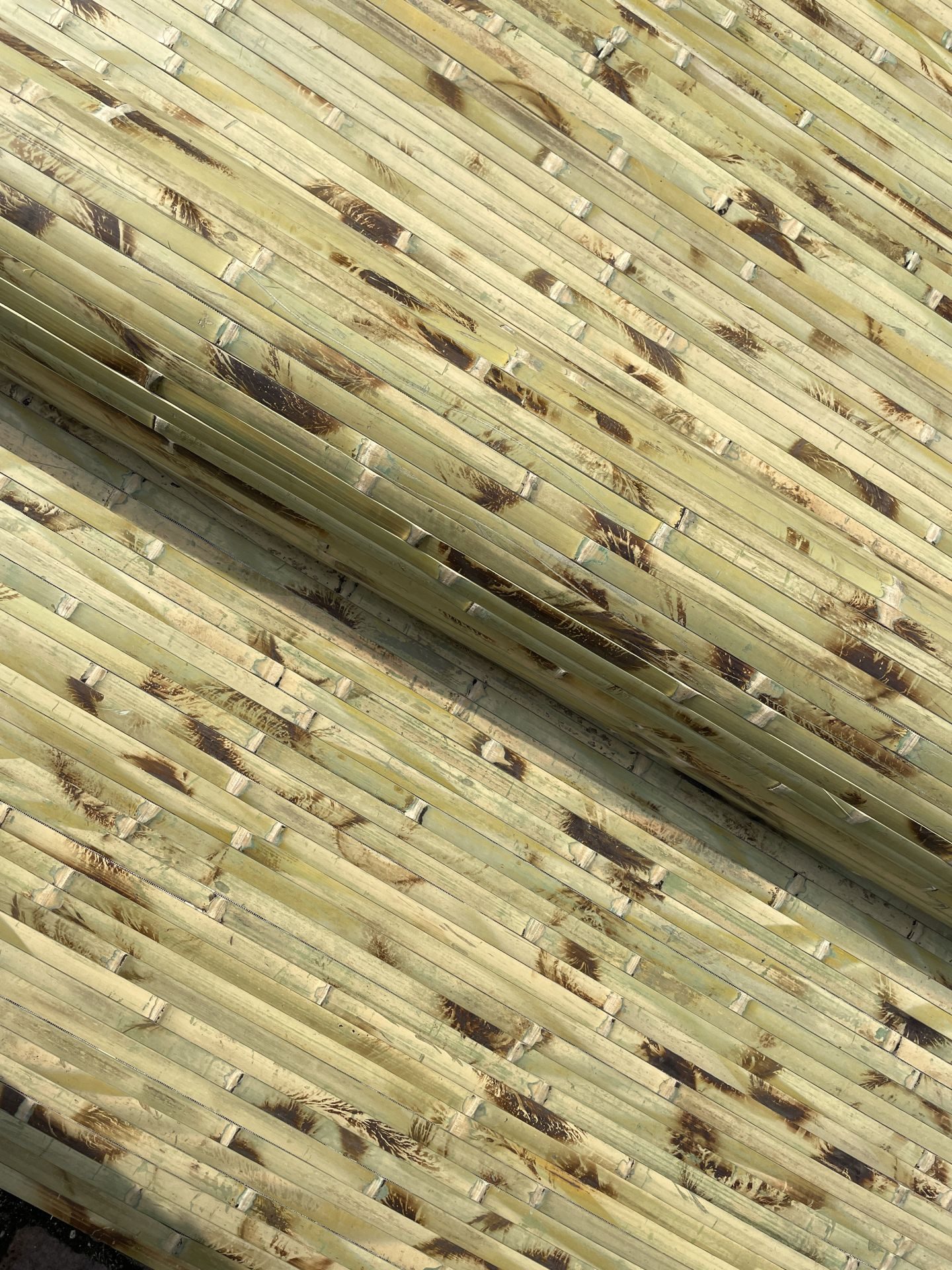 Nature-Lounge Wandteppich Bambus Wandverkleidung - Exotischer günstig online kaufen