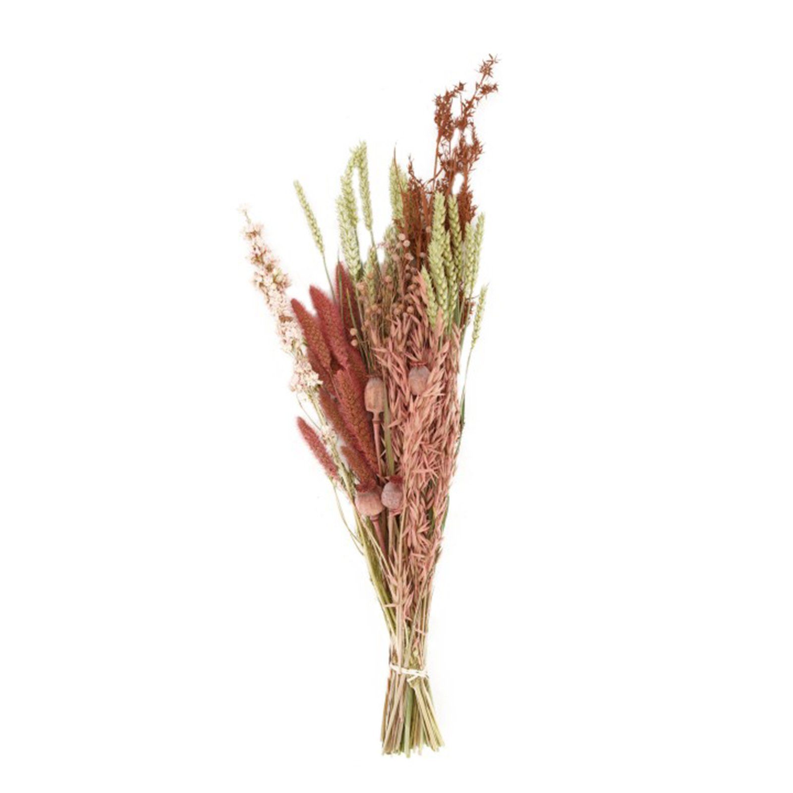 Zu erstaunlich niedrigen Preisen Trockenblume Getrockneter Blumenstrauß - rosa DIJK dried bouquet, flower