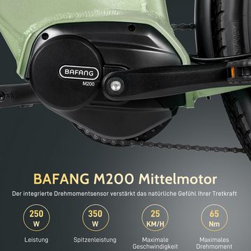 fafrees E-Bike FM9 BAFANG-Mittelmotor mit Drehmomentsensor 250W 36V 15AH 700C*45C, 7 Gang, Mittelmotor, Hydraulische Federgabel, BAFANG LCD-Display, StVZO-konforme