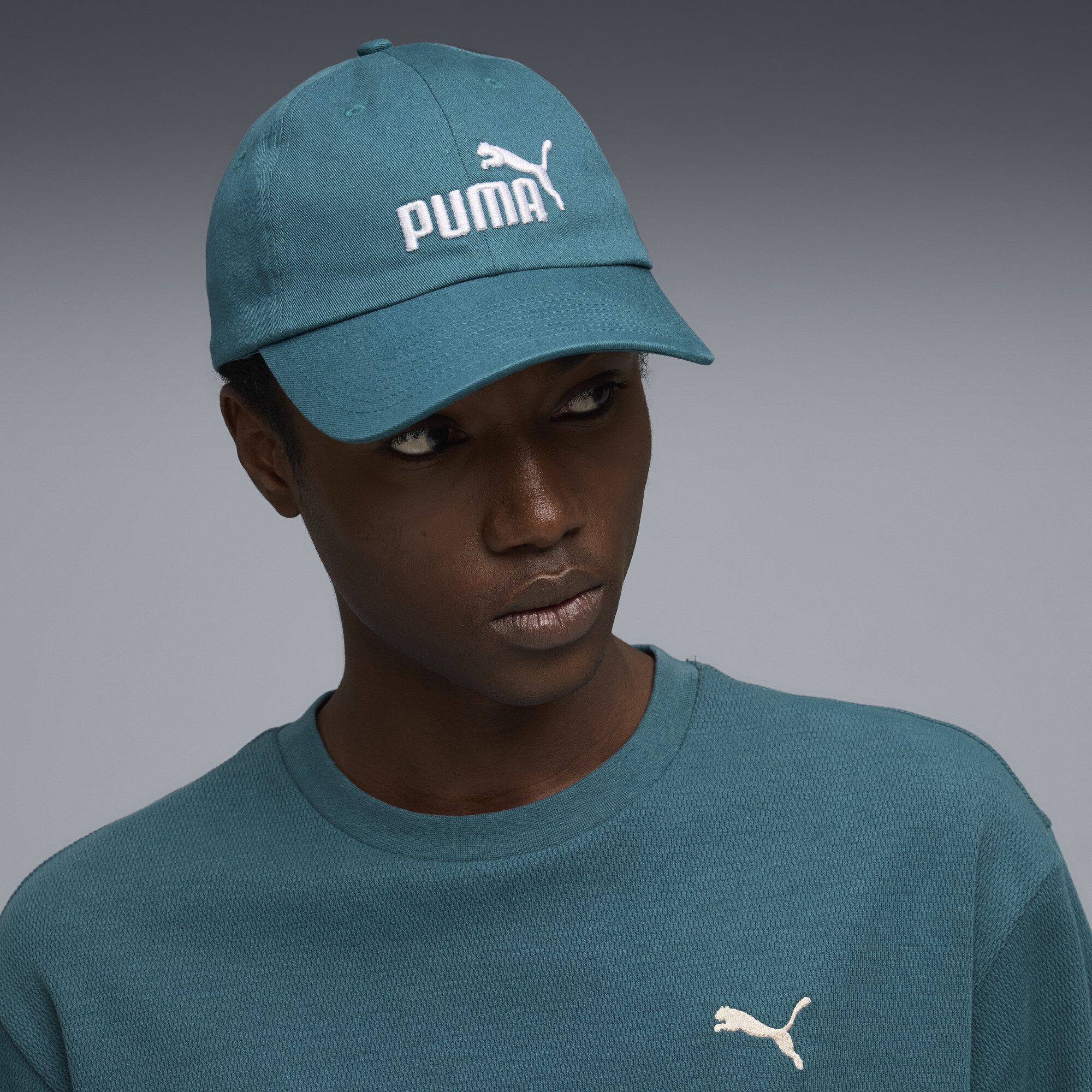 PUMA Flex Cap ESS No.1 Logo Baseball Cap Erwachsene günstig online kaufen