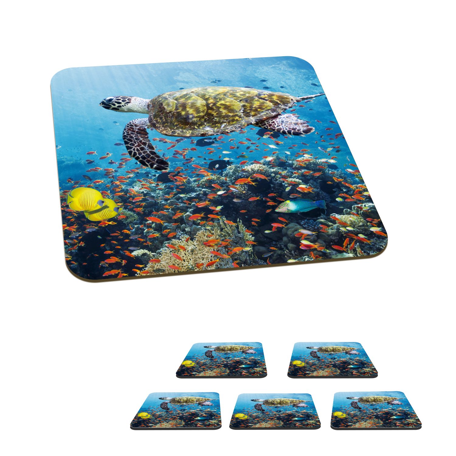 MuchoWow Glasuntersetzer Schildkröte am Korallenriff, Zubehör für Gläser, 6-tlg., Glasuntersetzer, Tischuntersetzer, Korkuntersetzer, Untersetzer, Tasse