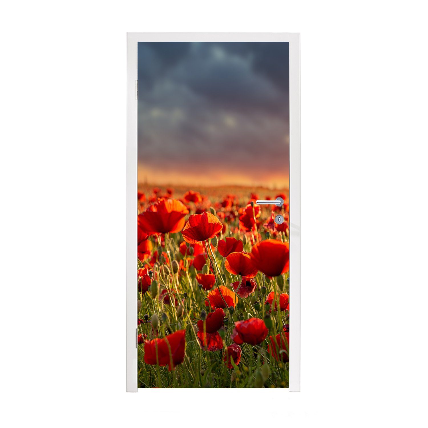 MuchoWow Türtapete Sonnenuntergang - Mohnblumen - Rot - Blumen - Feld - Natur, Matt, bedruckt, (1 St), Selbstklebende Tapete, Folie für Möbel, 75x205 cm
