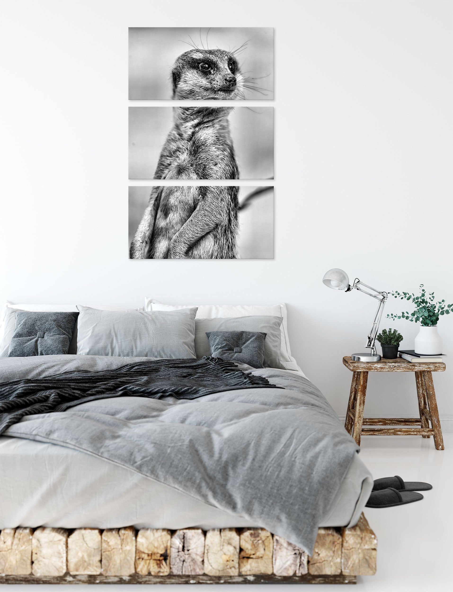 Pixxprint Leinwandbild aufmerksames inkl. Leinwandbild aufmerksames St), bespannt, 3Teiler (1 Erdmännchen Erdmännchen, fertig (120x80cm) Zackenaufhänger