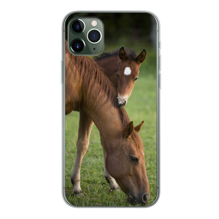 MuchoWow Handyhülle Pferde - Gras - Porträt Handyhülle Apple iPhone 11 Pro Max Smartphone-Bumper Print Handy