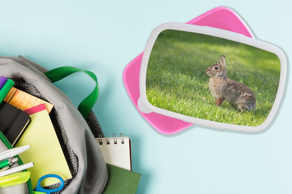 Kinder, rosa Erwachsene, MuchoWow Kaninchen Brotbox Snackbox, Gras Lunchbox - (2-tlg), Tier, für Kunststoff Mädchen, Kunststoff, - Brotdose