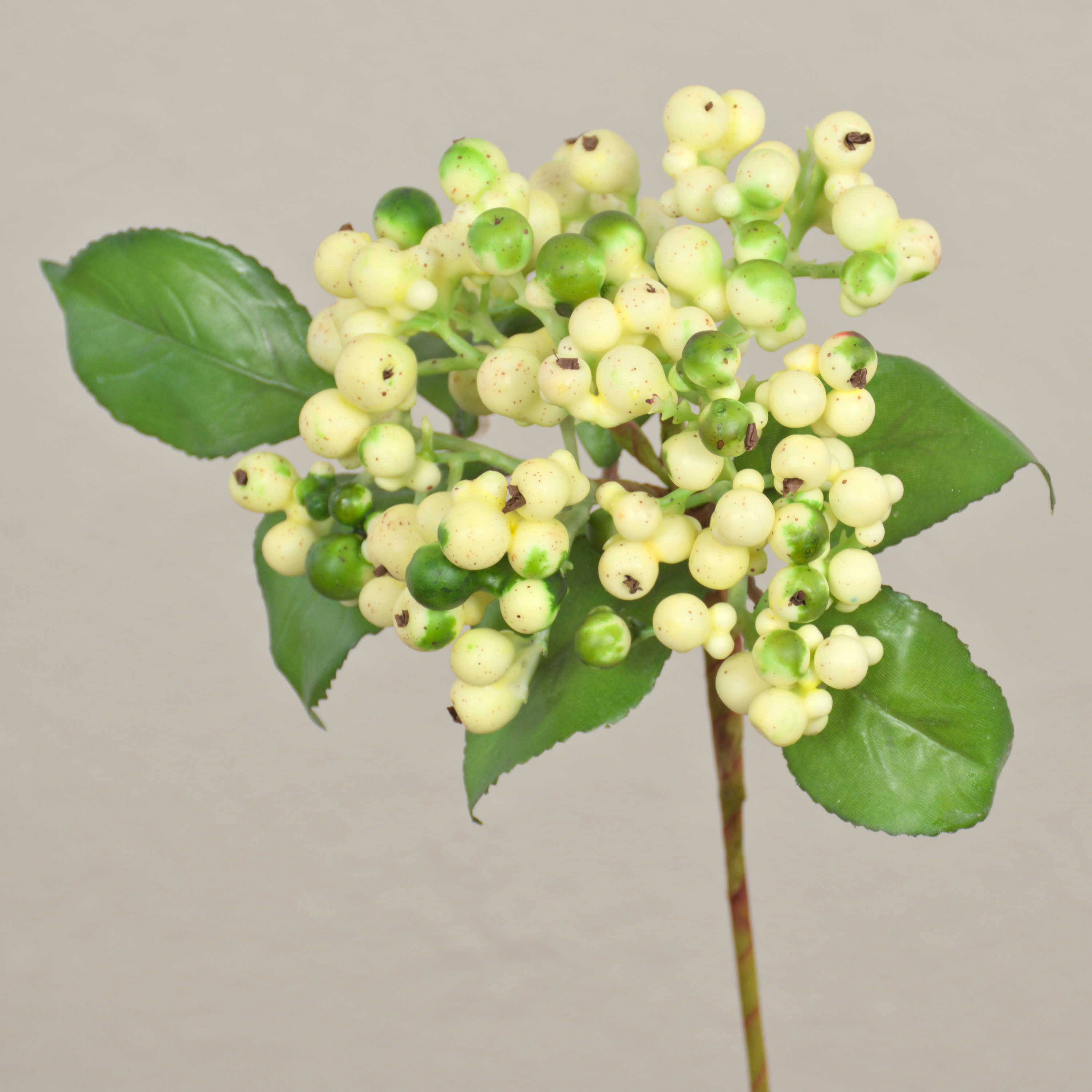 Kunstzweig Holunderbeere Helma mit Beeren, Creme-grün, 30cm Holunder, artplants, Höhe 30.0 cm