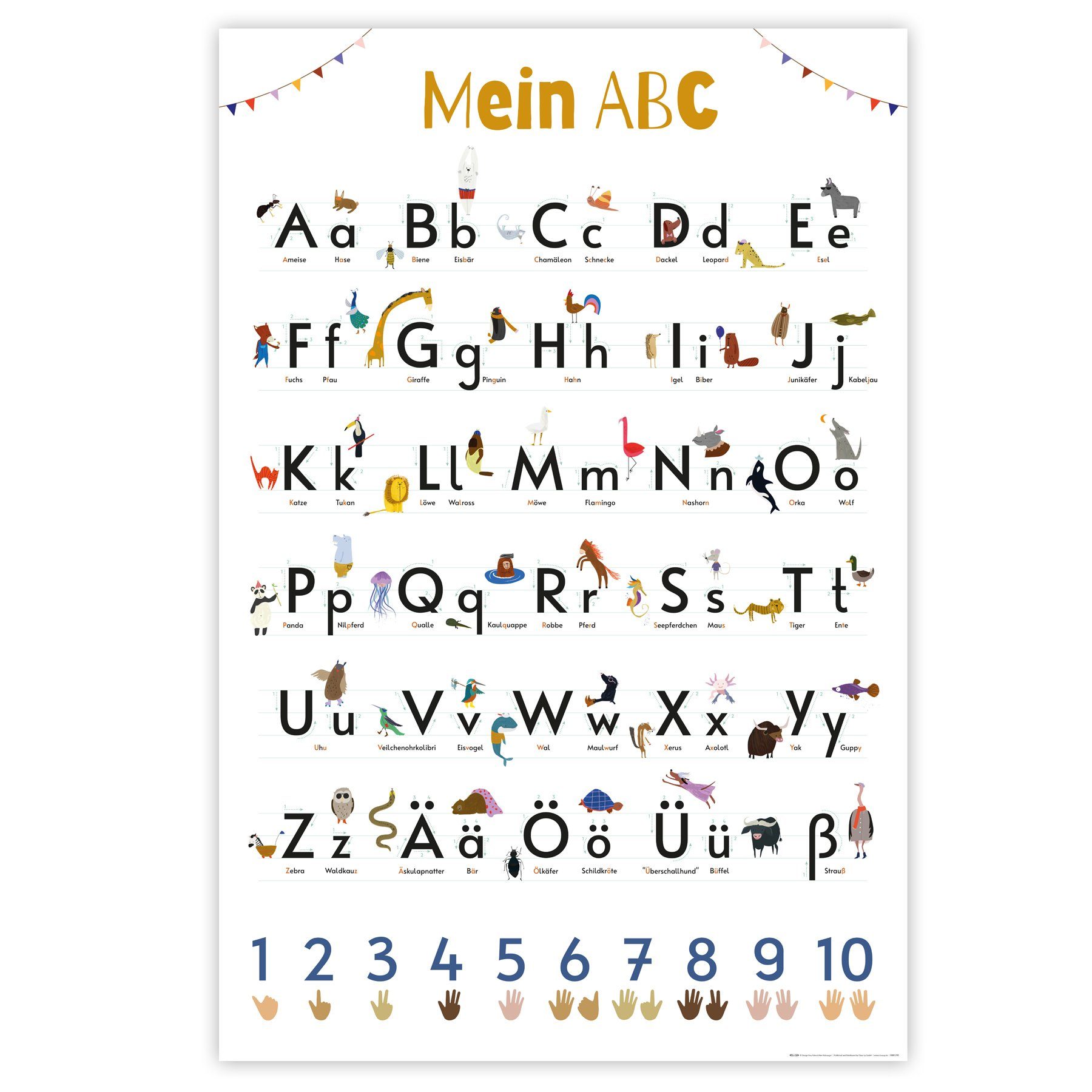 Close Up Poster Das ABC Poster Auf 170 gr. Papier gedruckt 61 x 91,5 cm