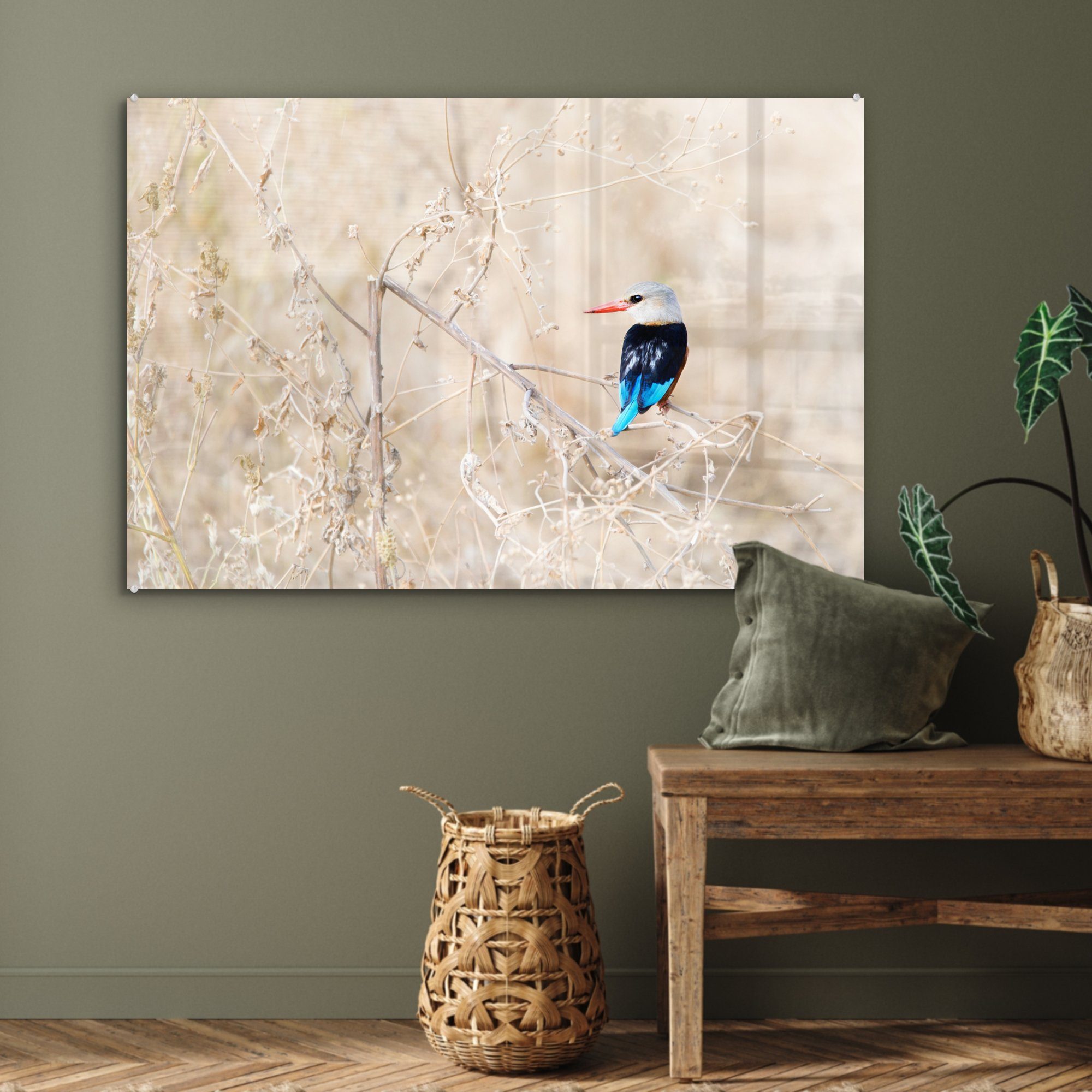 Acrylglasbilder trockenen, & der Wohnzimmer (1 MuchoWow Schlafzimmer Foto in Hervorragendes eines Acrylglasbild St), Graukopf-Eisvogels
