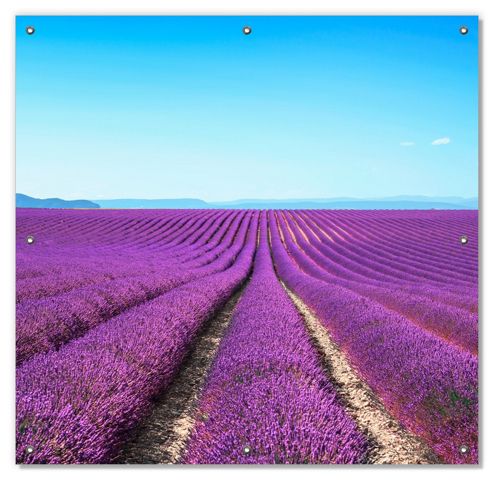Sonnenschutz Lavendelfeld unter blauem Himmel, Wallario, blickdicht, mit Saugnäpfen, wiederablösbar und wiederverwendbar